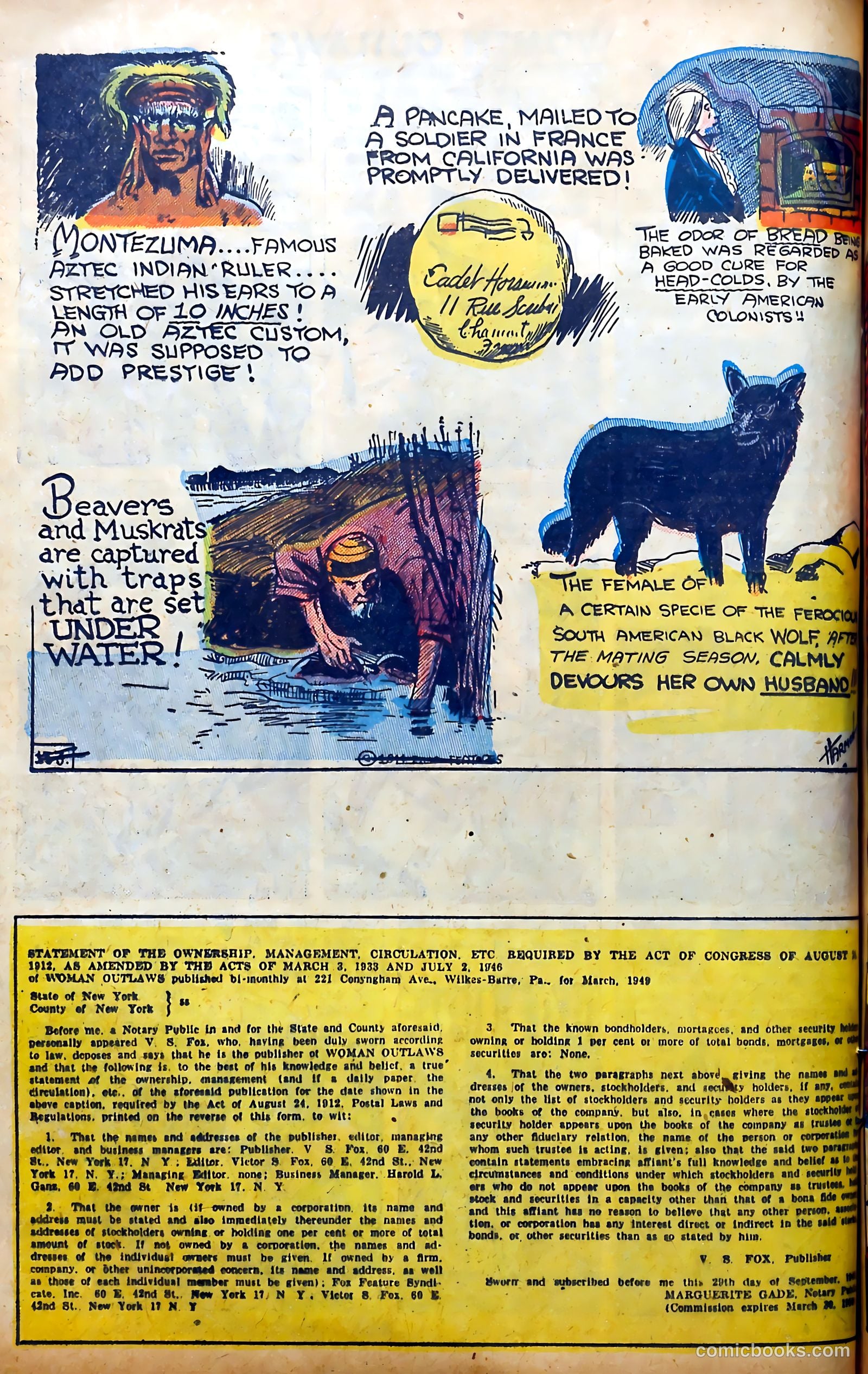 Women Outlaws #5 (1949) — page 12 of 36