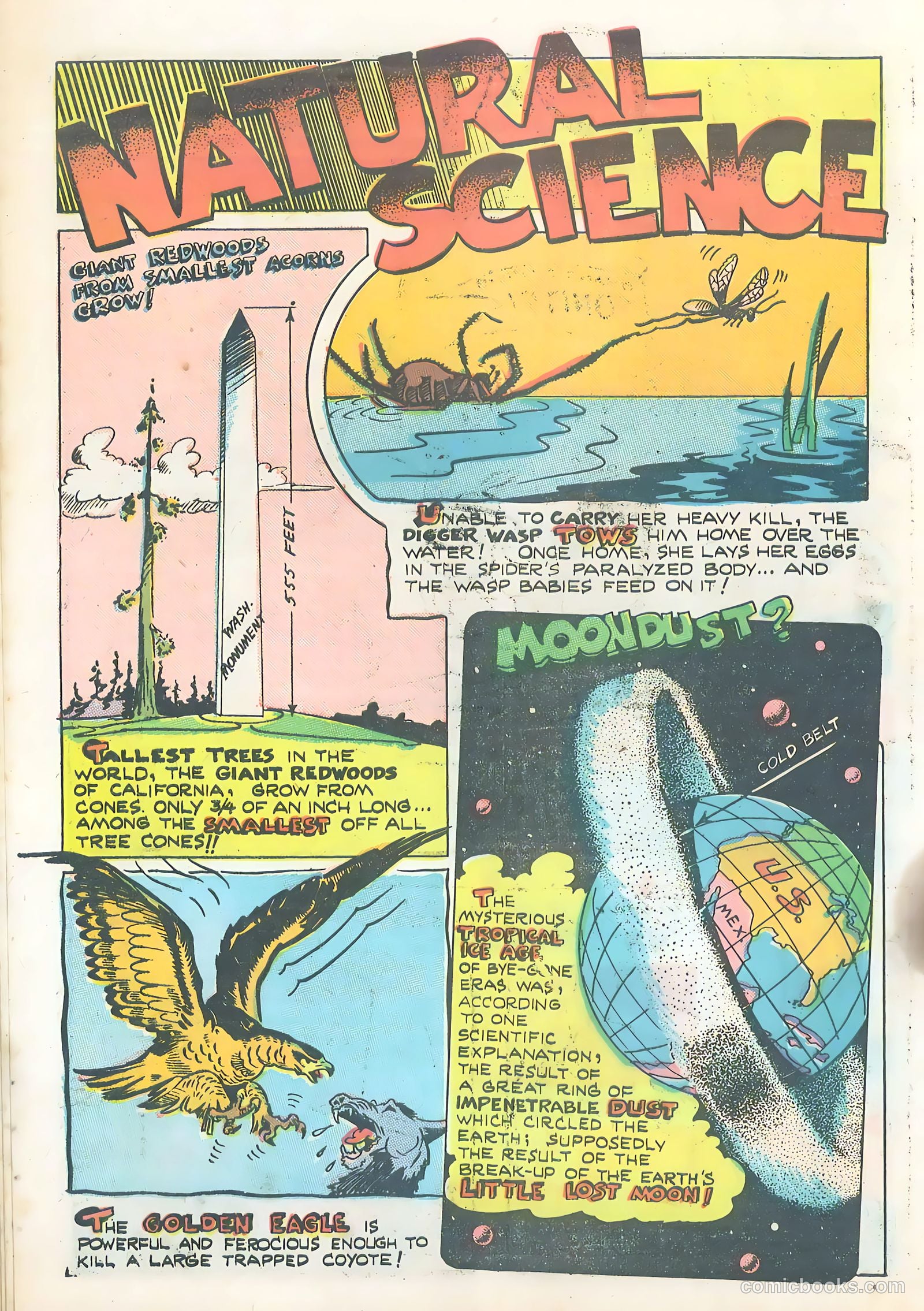 Wotalife Comics #5 (1959) — page 20 of 53