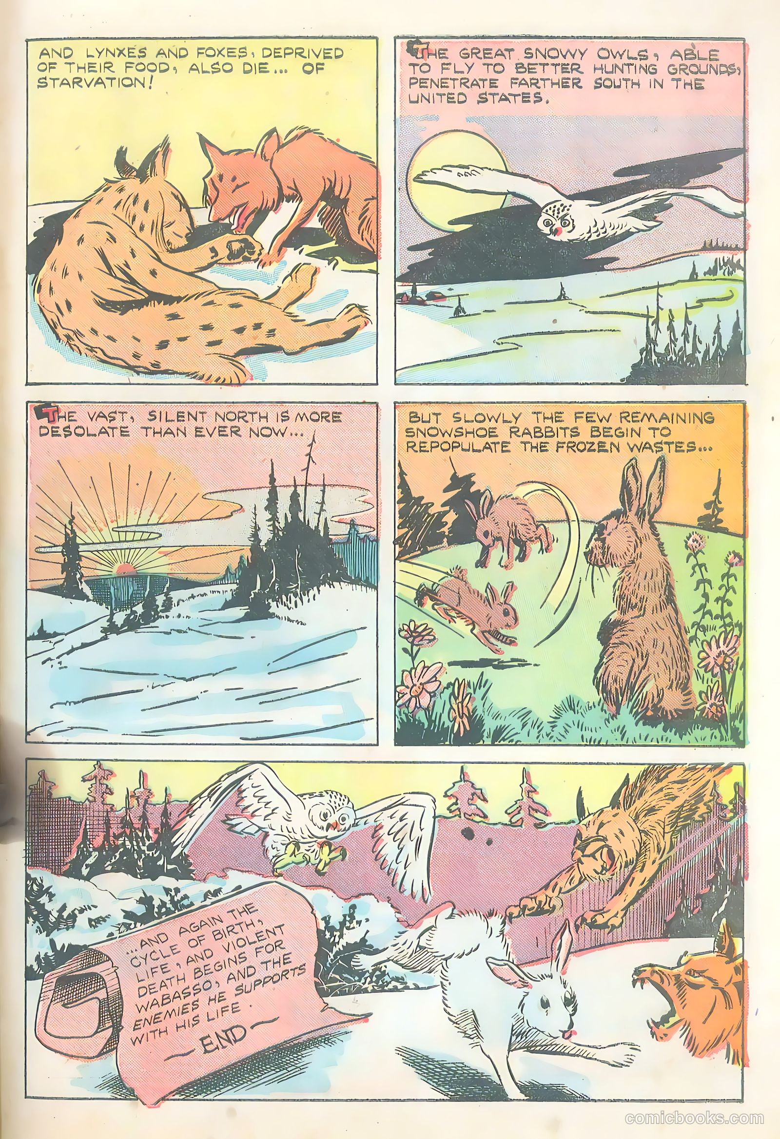 Wotalife Comics #5 (1959) — page 31 of 53