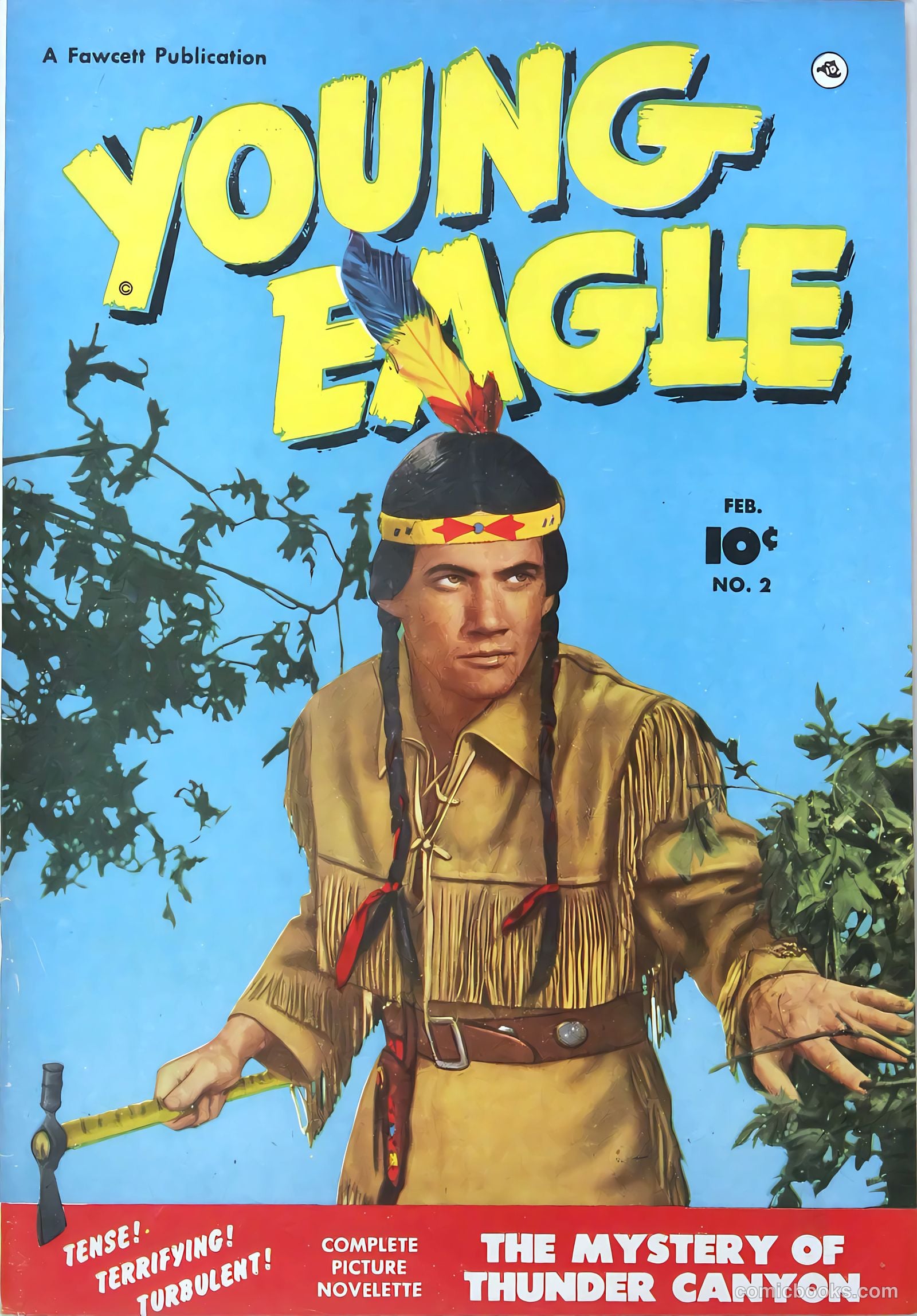 Young Eagle #2 cover
