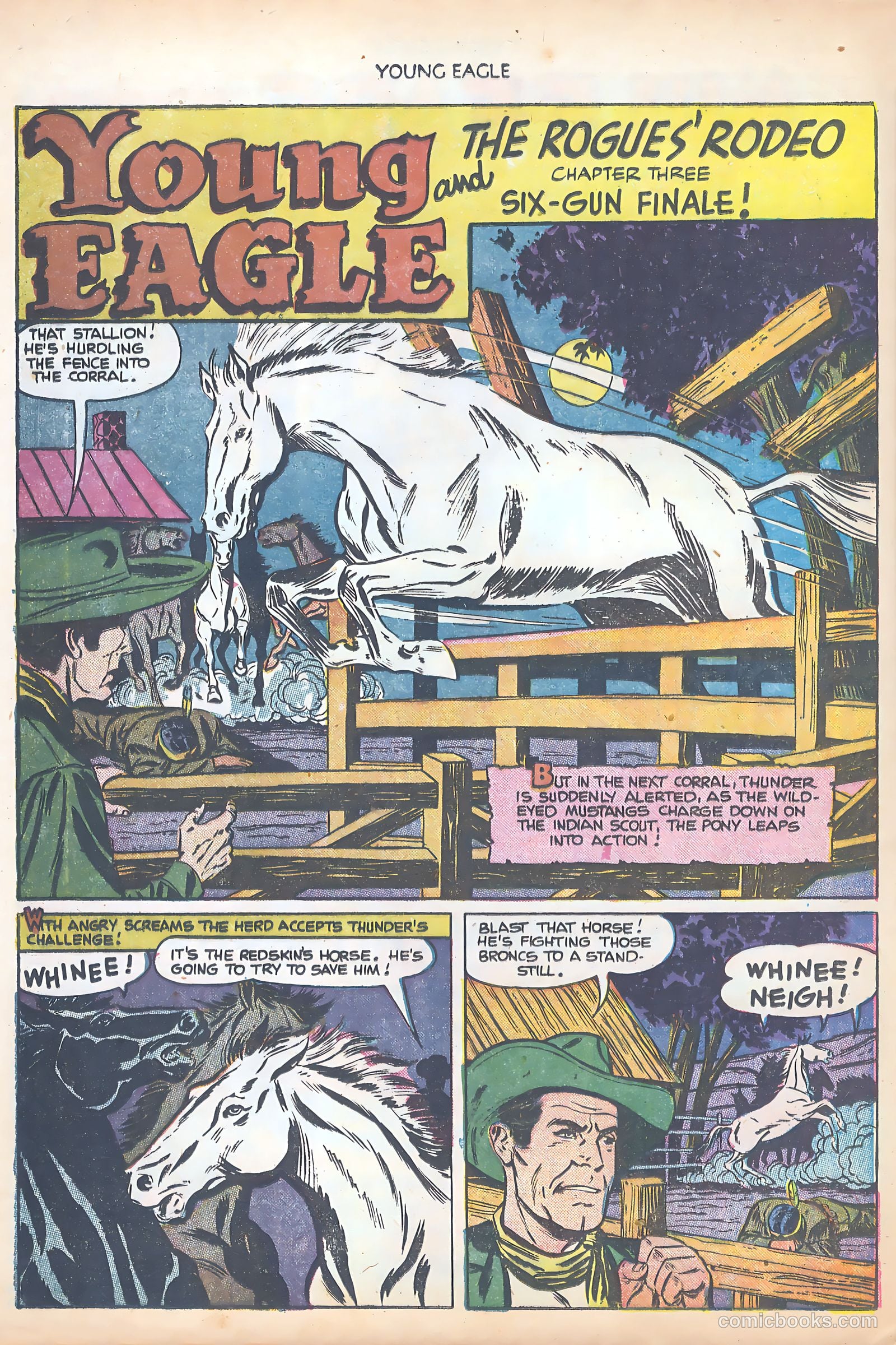 Young Eagle #8 — page 28 of 37