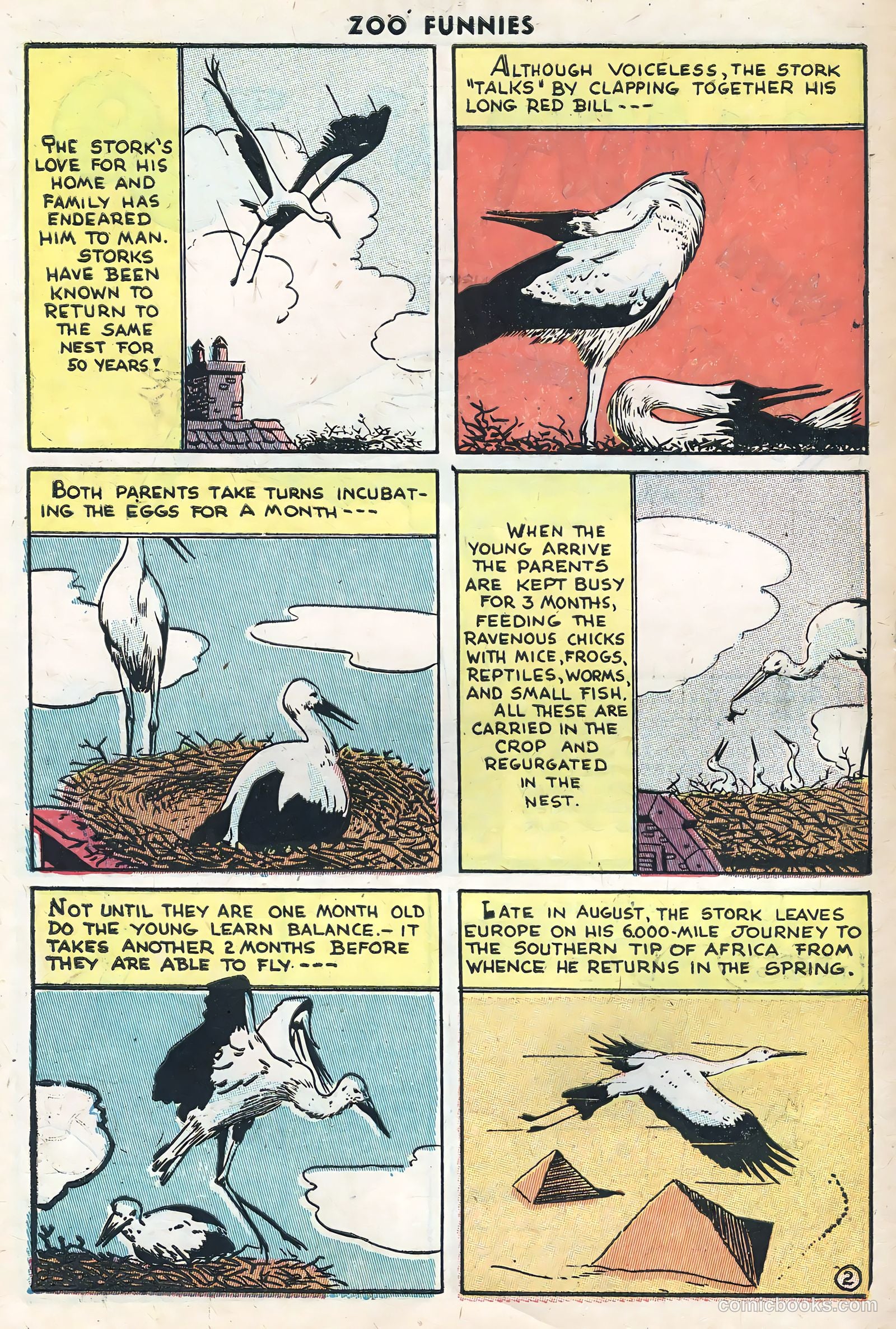 Zoo Funnies #10 (1947) — page 10 of 36