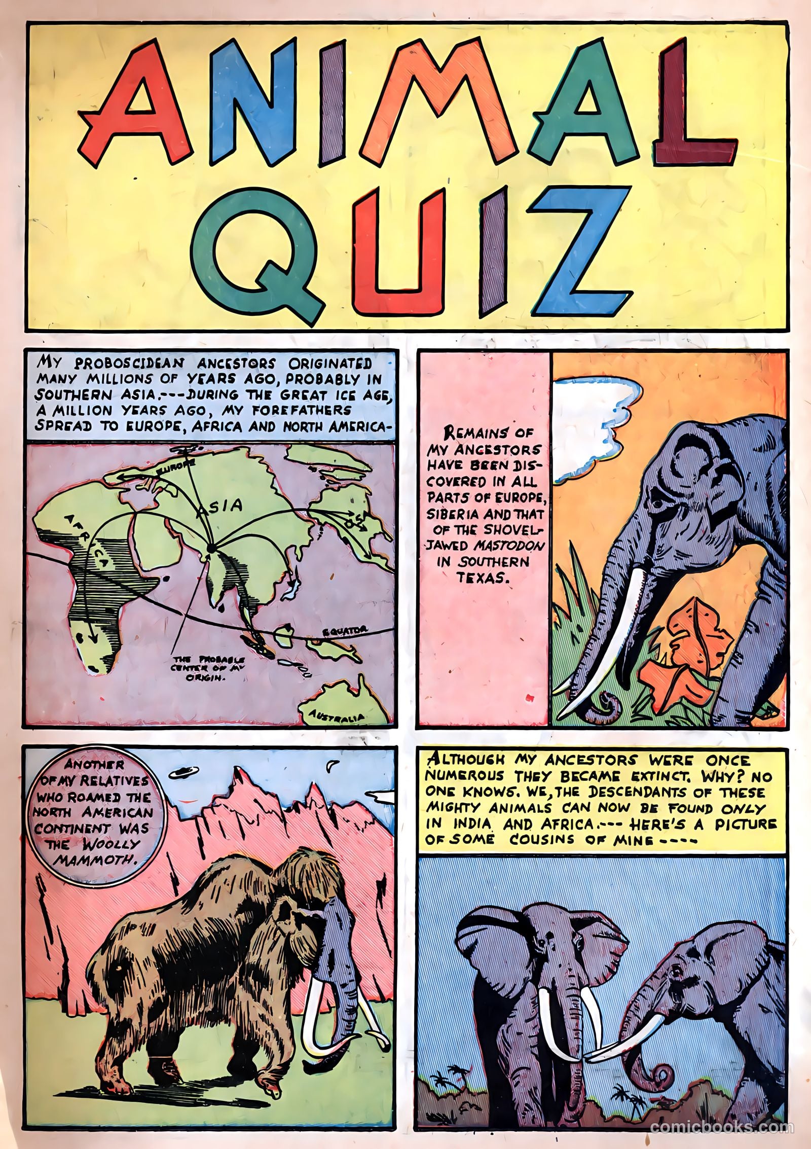 Zoo Funnies #2 (1945) — page 25 of 52