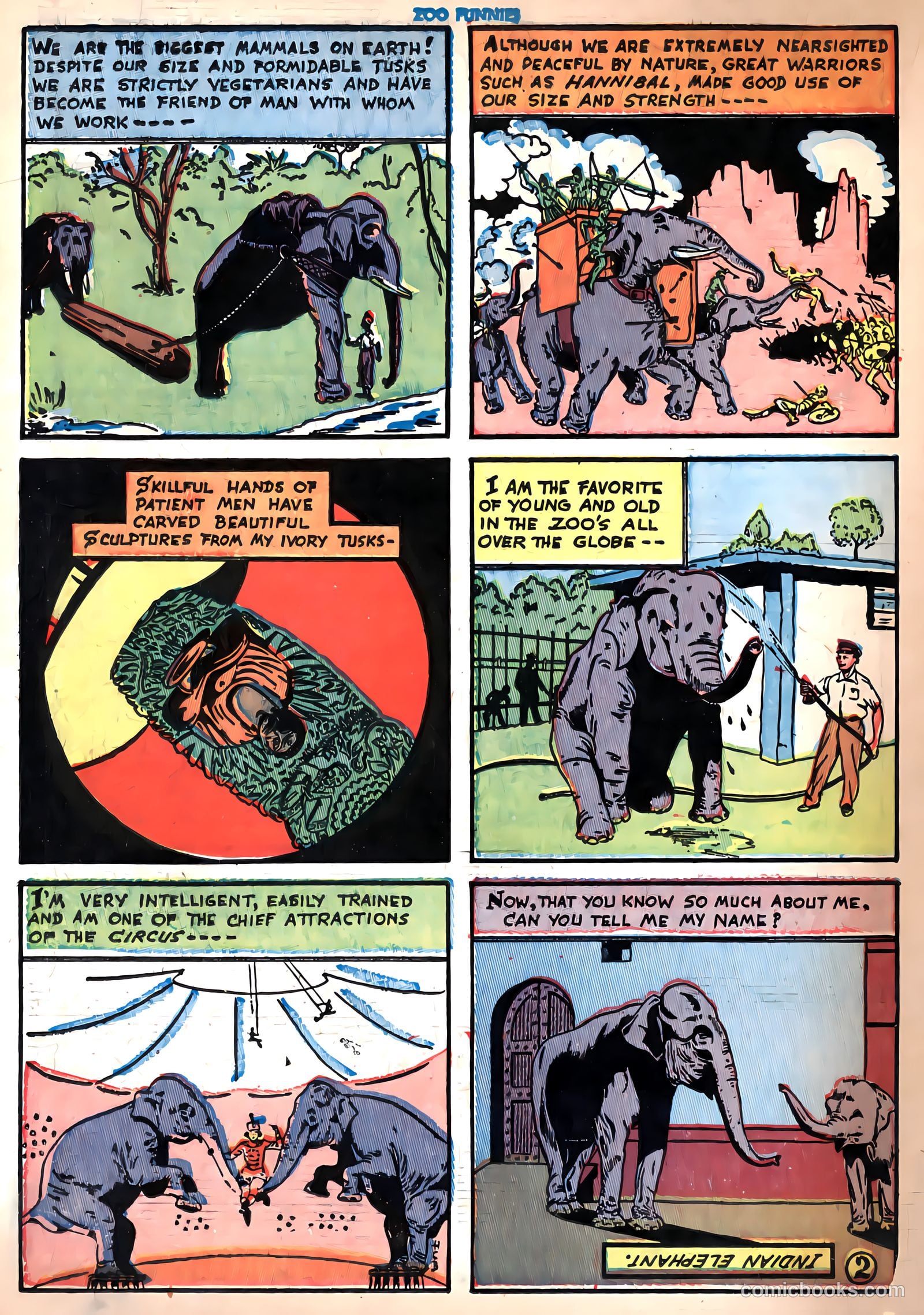 Zoo Funnies #2 (1945) — page 26 of 52