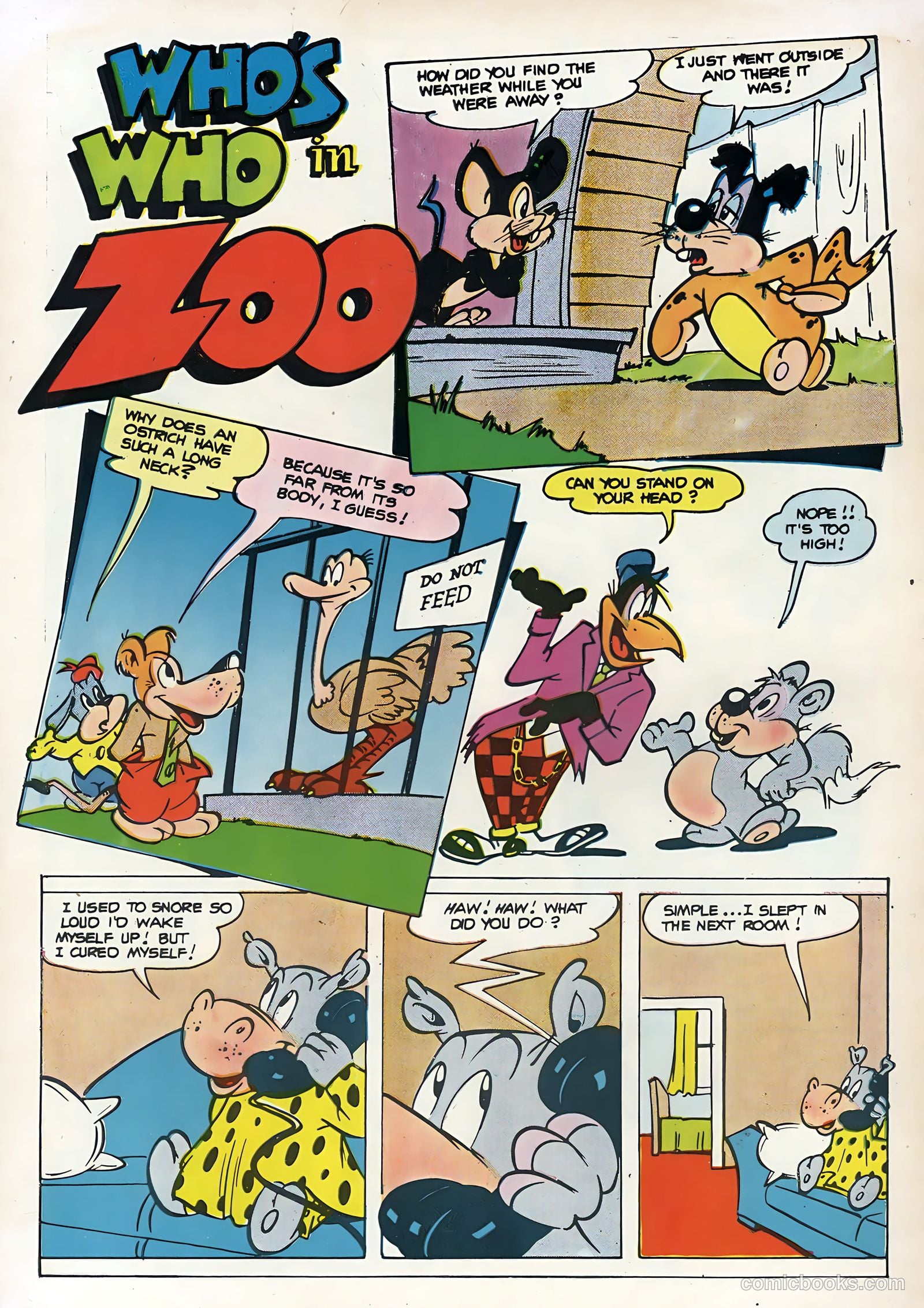 Zoo Funnies #5 (1946) — page 36 of 36