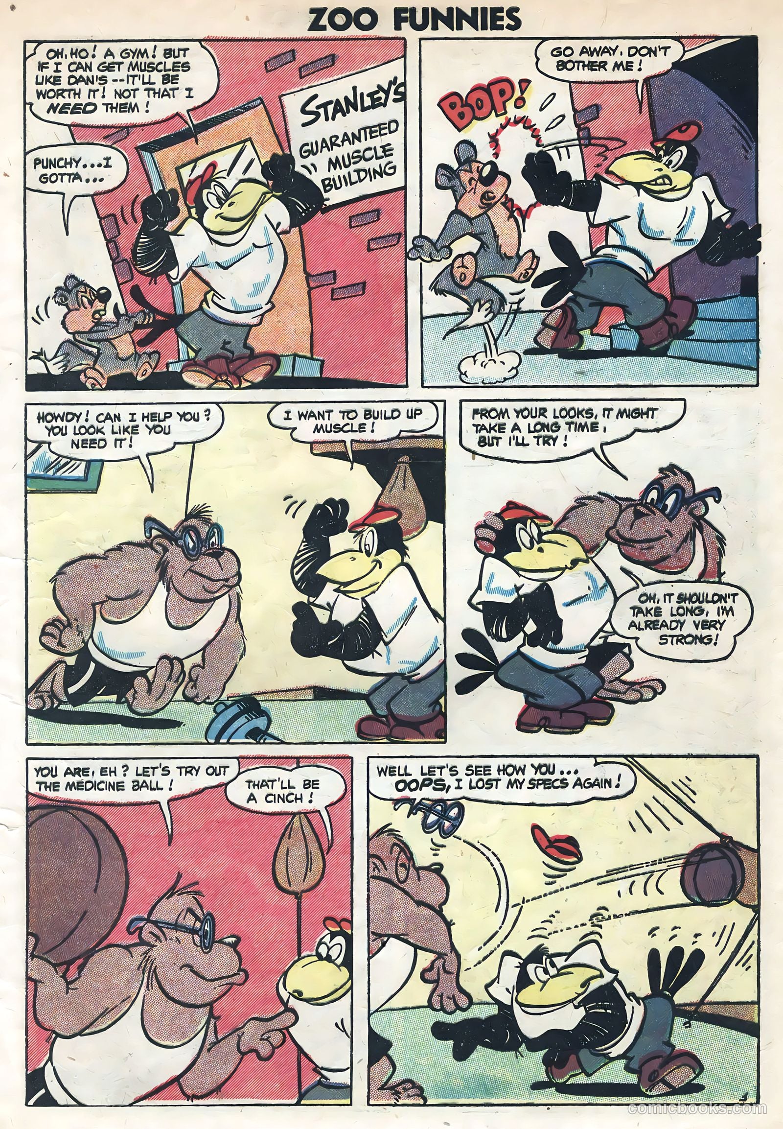 Zoo Funnies #6 (1946) — page 5 of 36