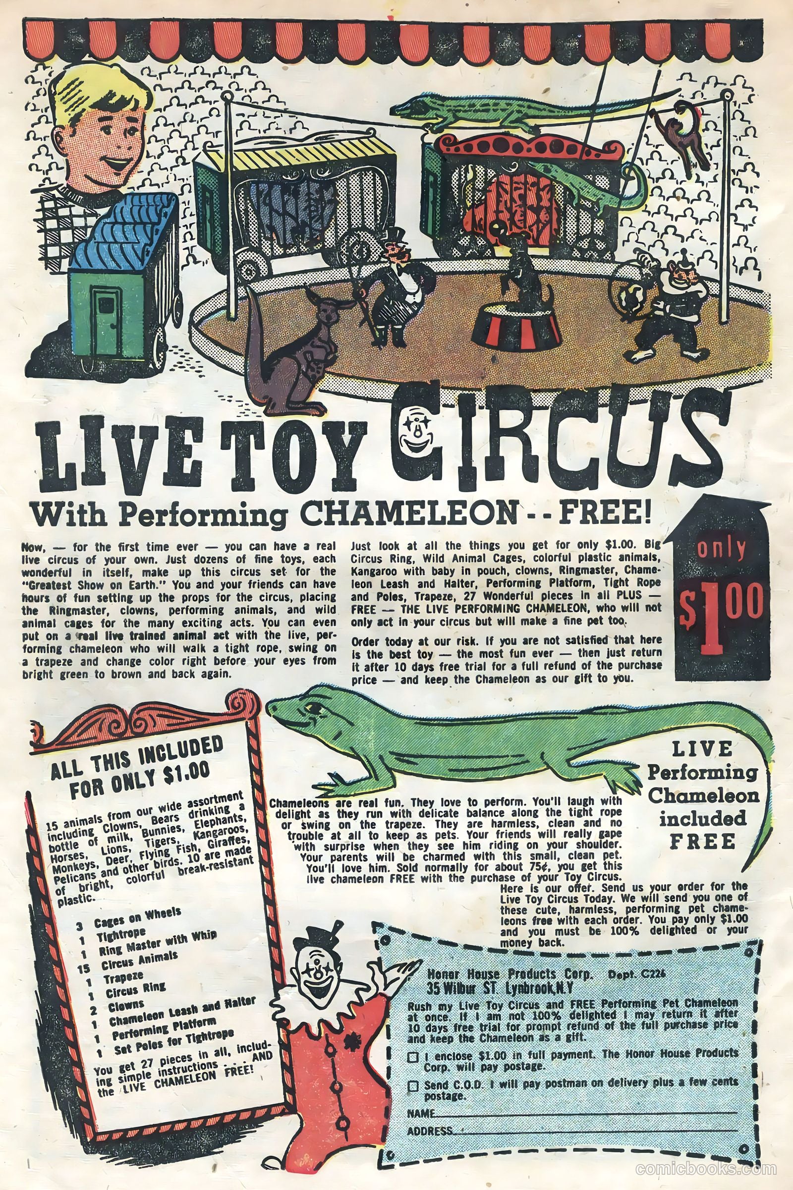 Zoo Funnies #6 (1946) — page 34 of 36