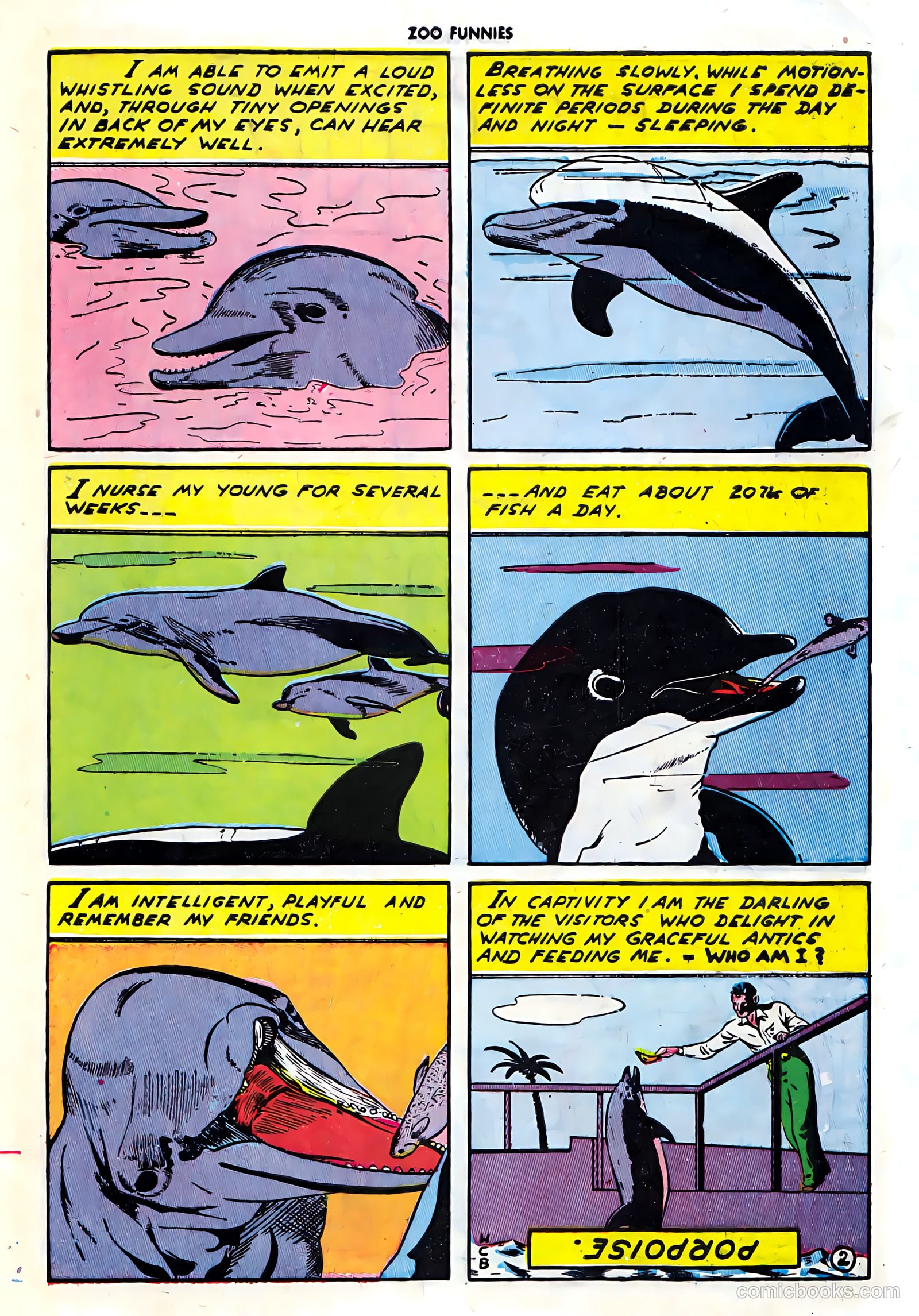 Zoo Funnies #7 (1946) — page 43 of 52