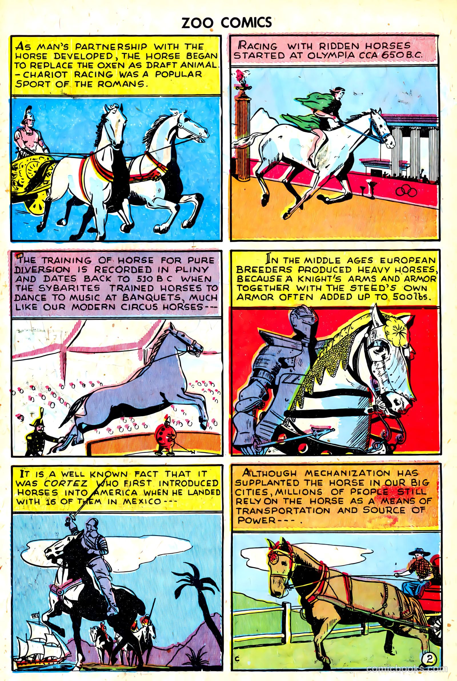 Zoo Funnies #8 (1946) — page 35 of 52