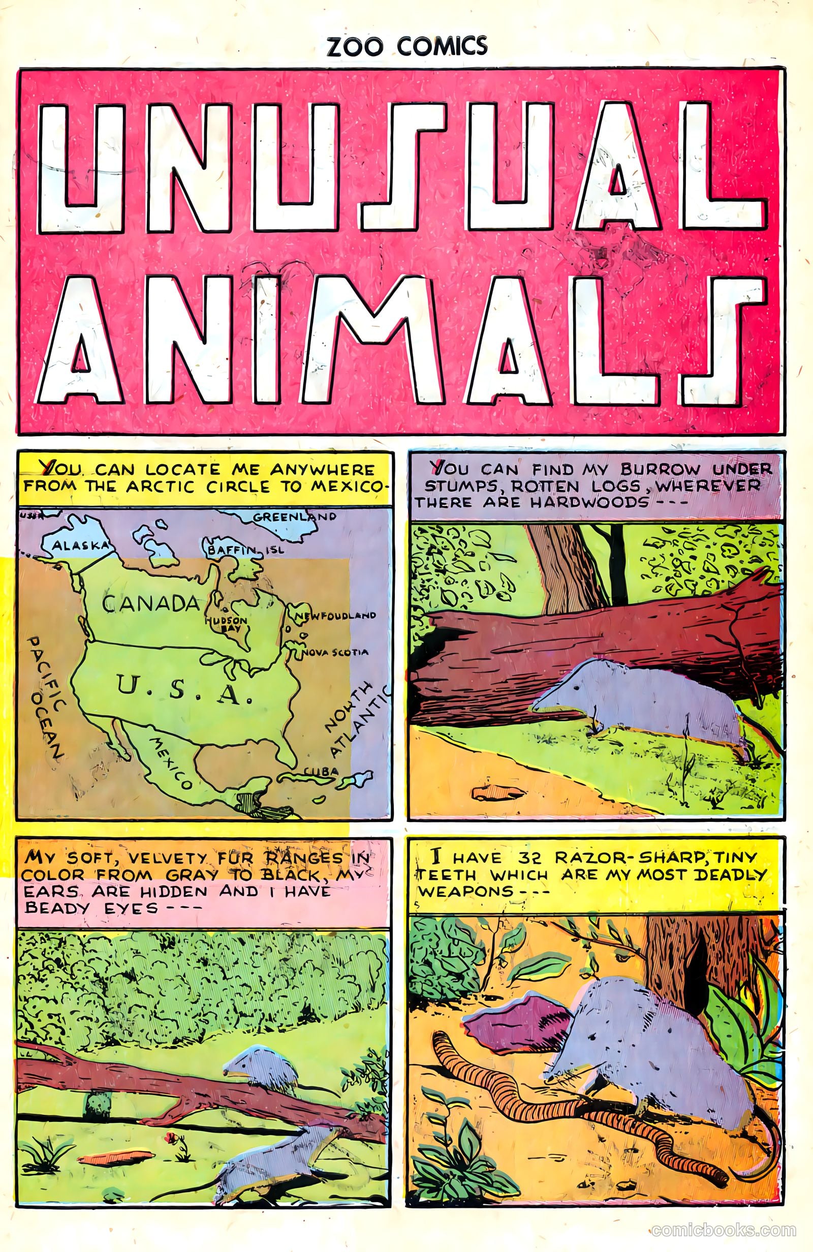 Zoo Funnies #8 (1946) — page 41 of 52