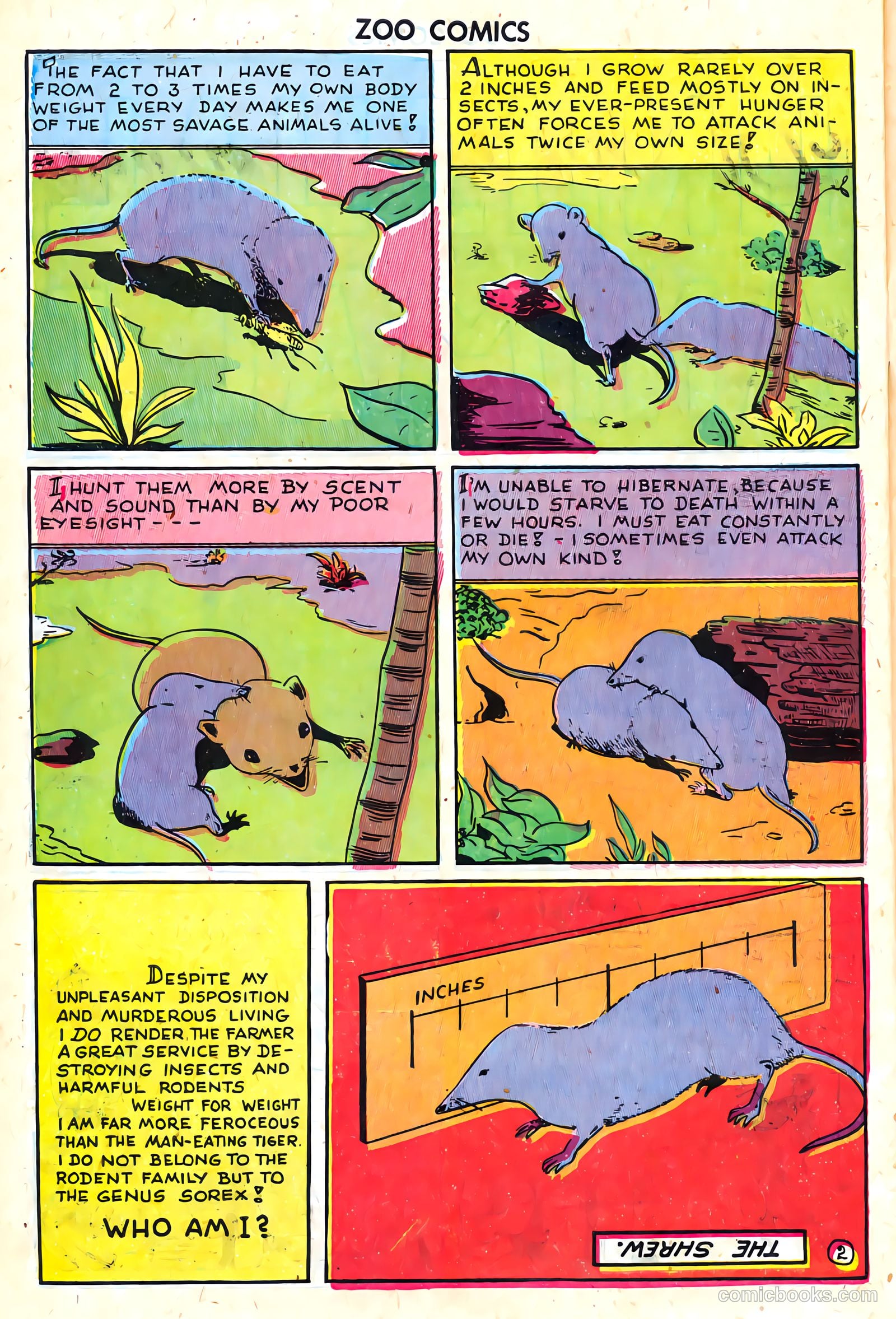 Zoo Funnies #8 (1946) — page 42 of 52