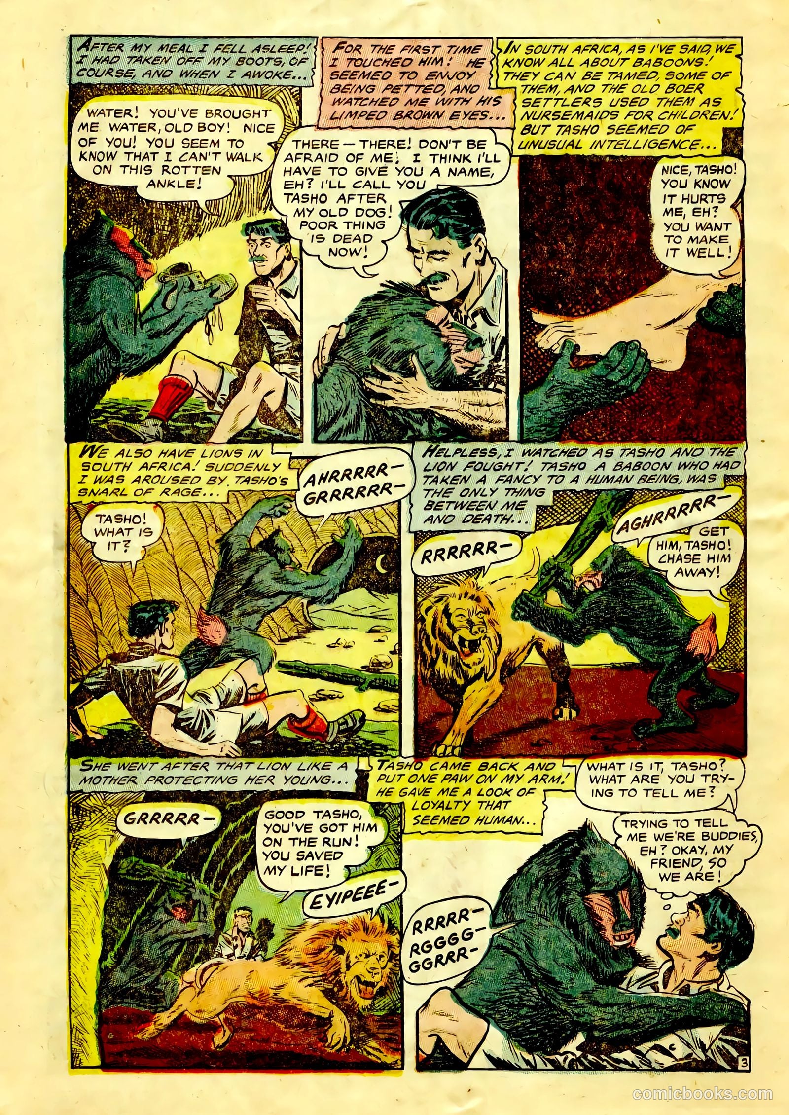 Dark Shadows #1 (2011) — page 14 of 36