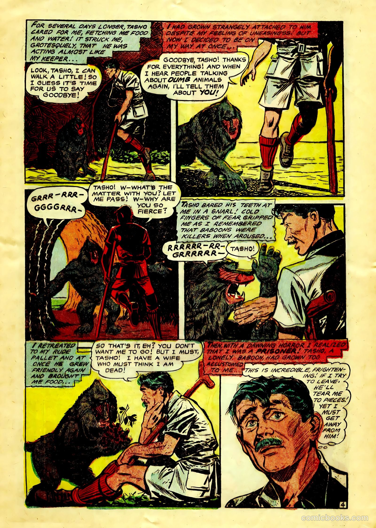 Dark Shadows #1 (2011) — page 15 of 36