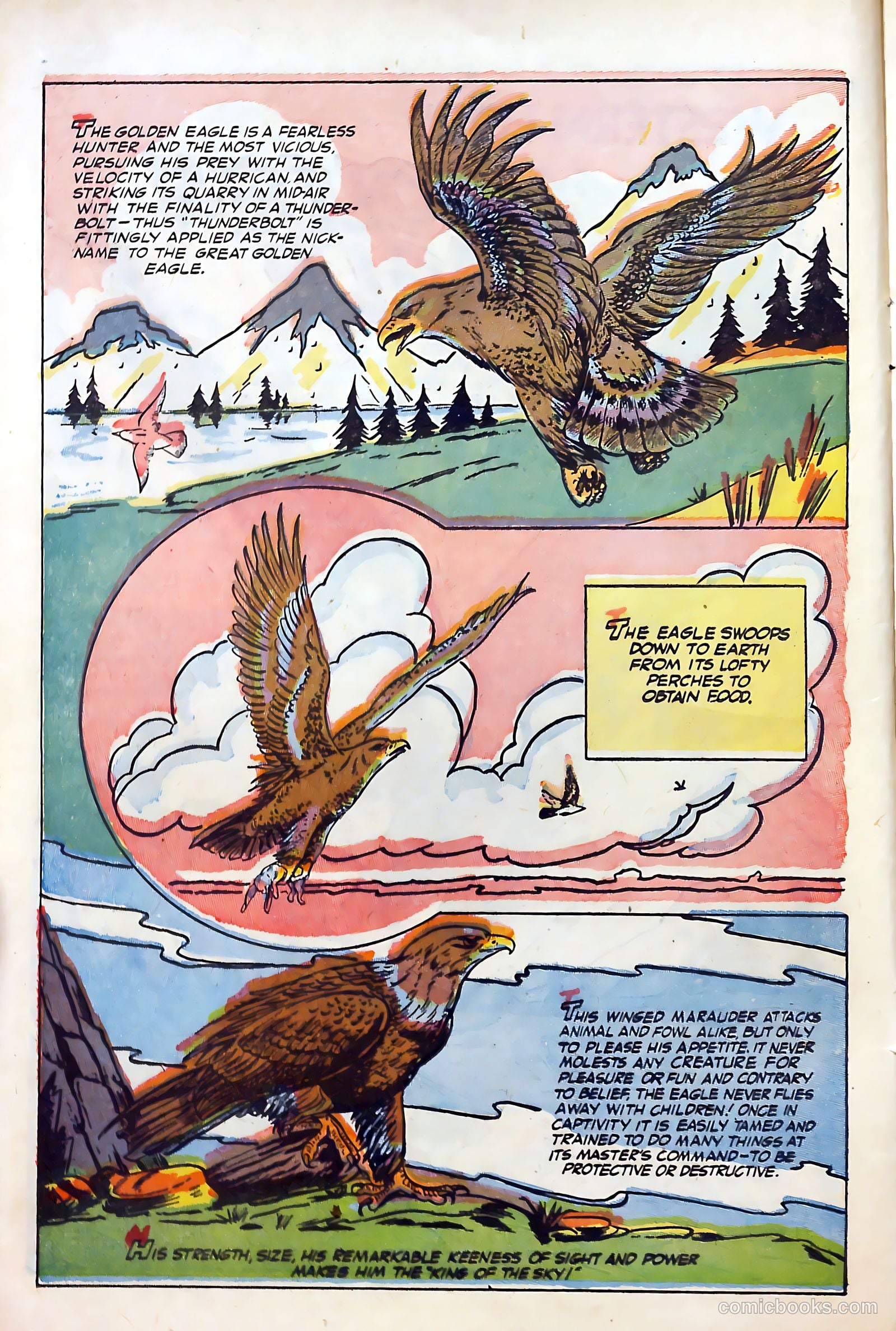 Billy the Kid #29 (1961) — page 14 of 36