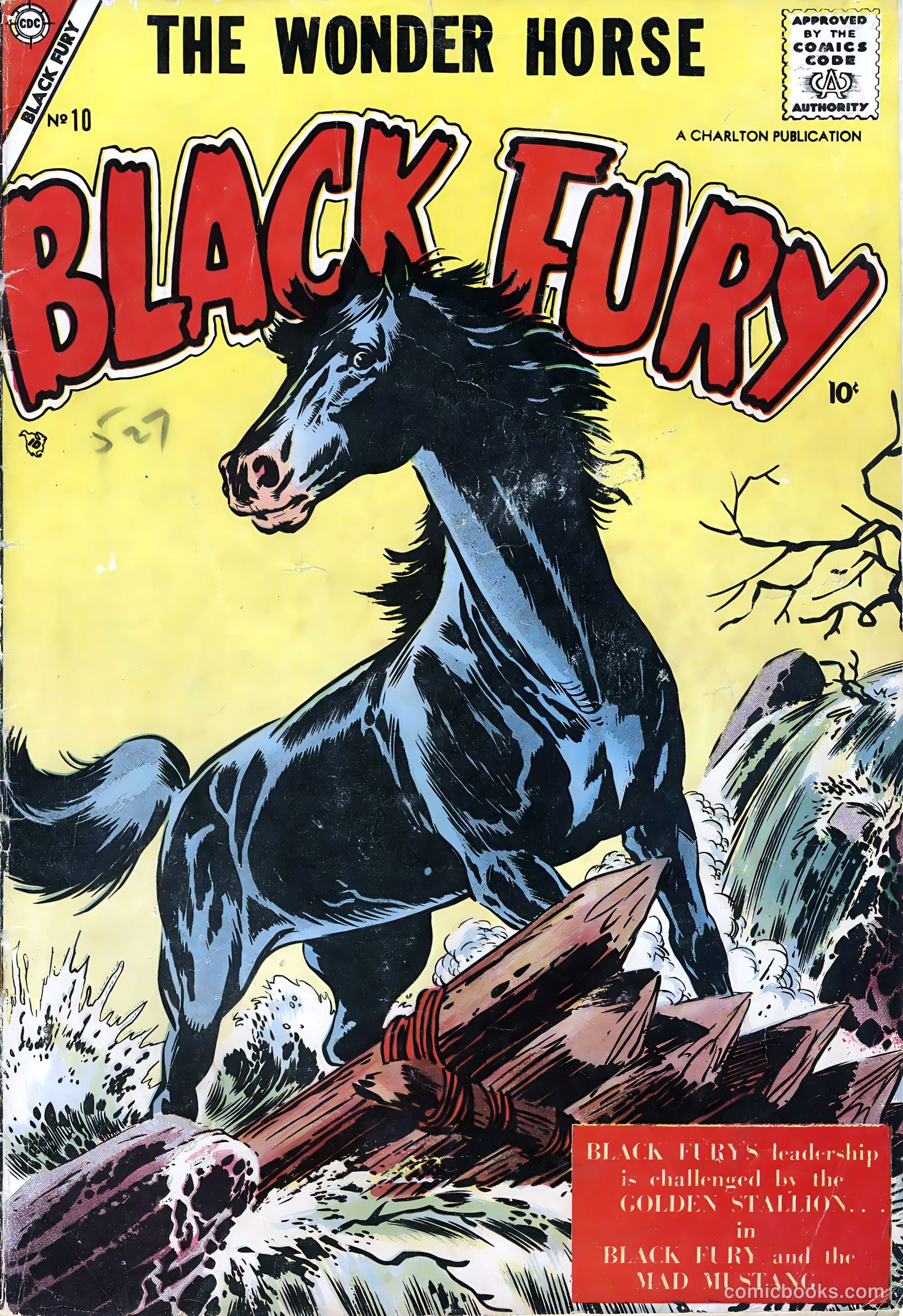 Black Fury #10 (1957) — page 1 of 36
