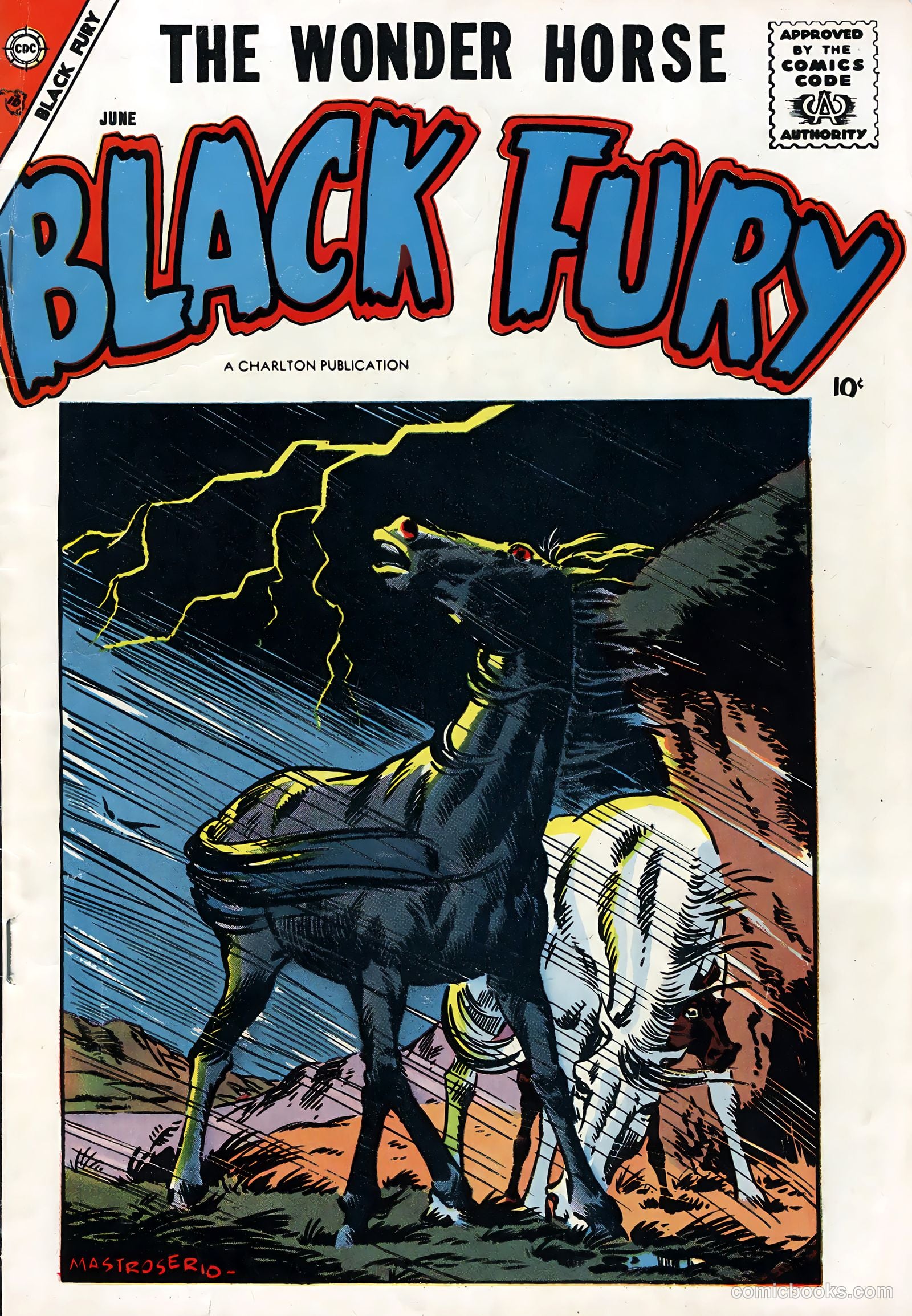 Black Fury #14 (1958) — page 1 of 36