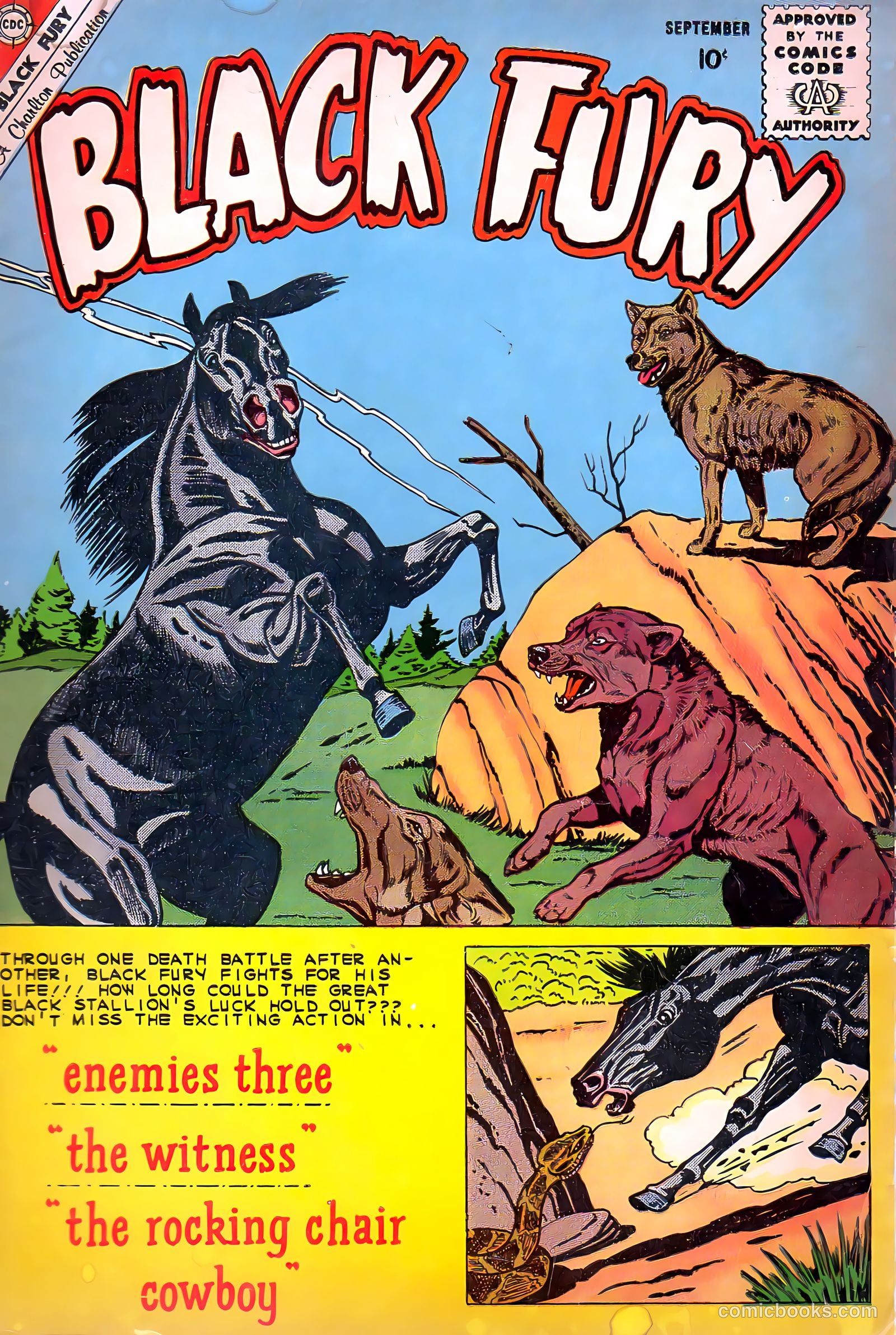 Black Fury #26 cover