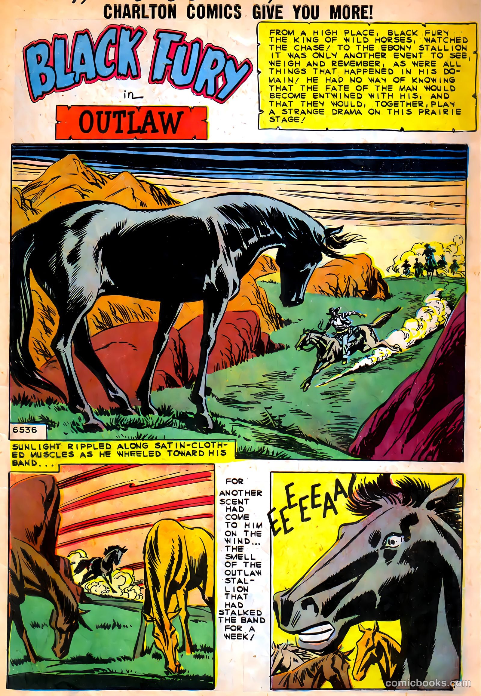 Black Fury #27 (1960) — page 3