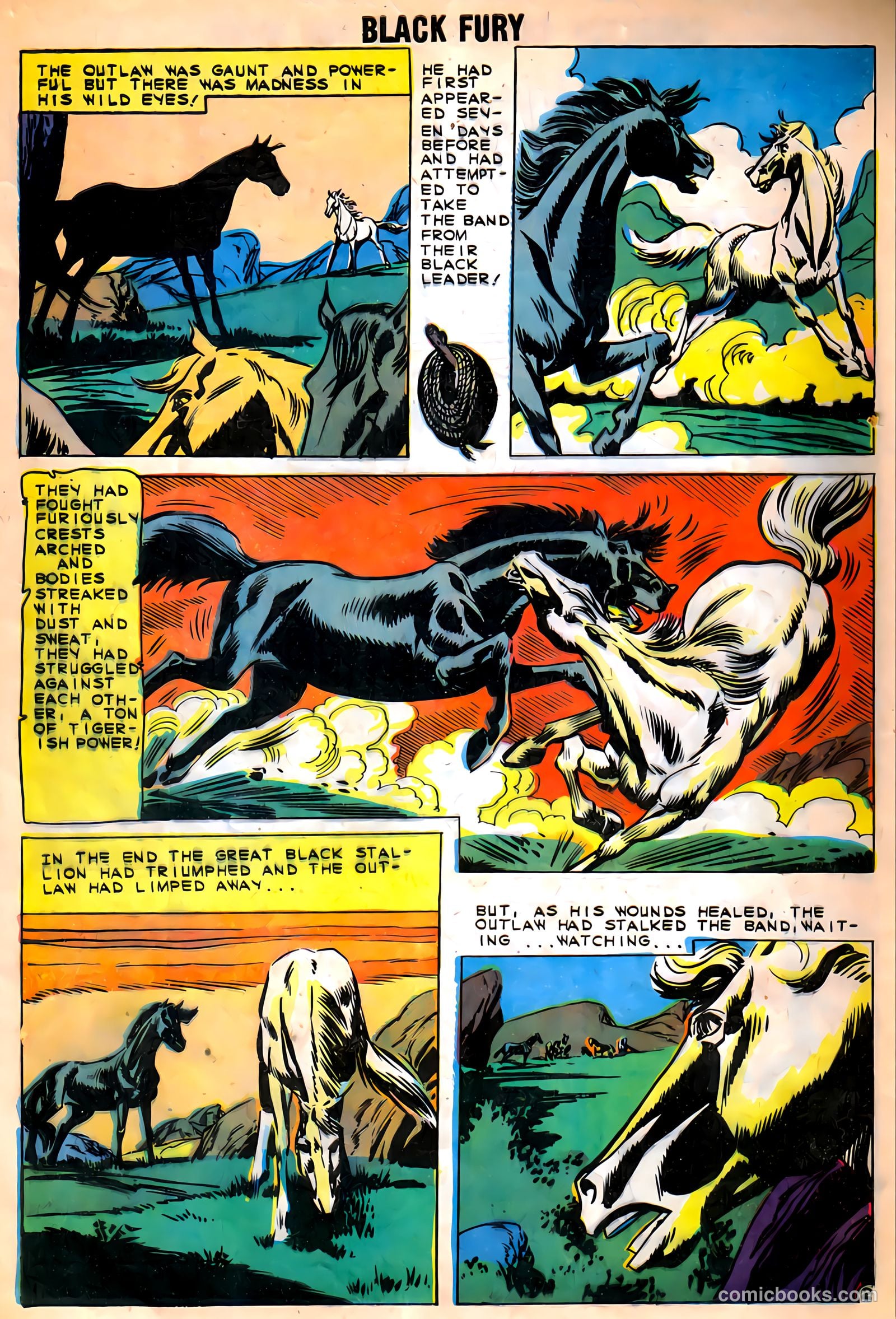 Black Fury #27 (1960) — page 4