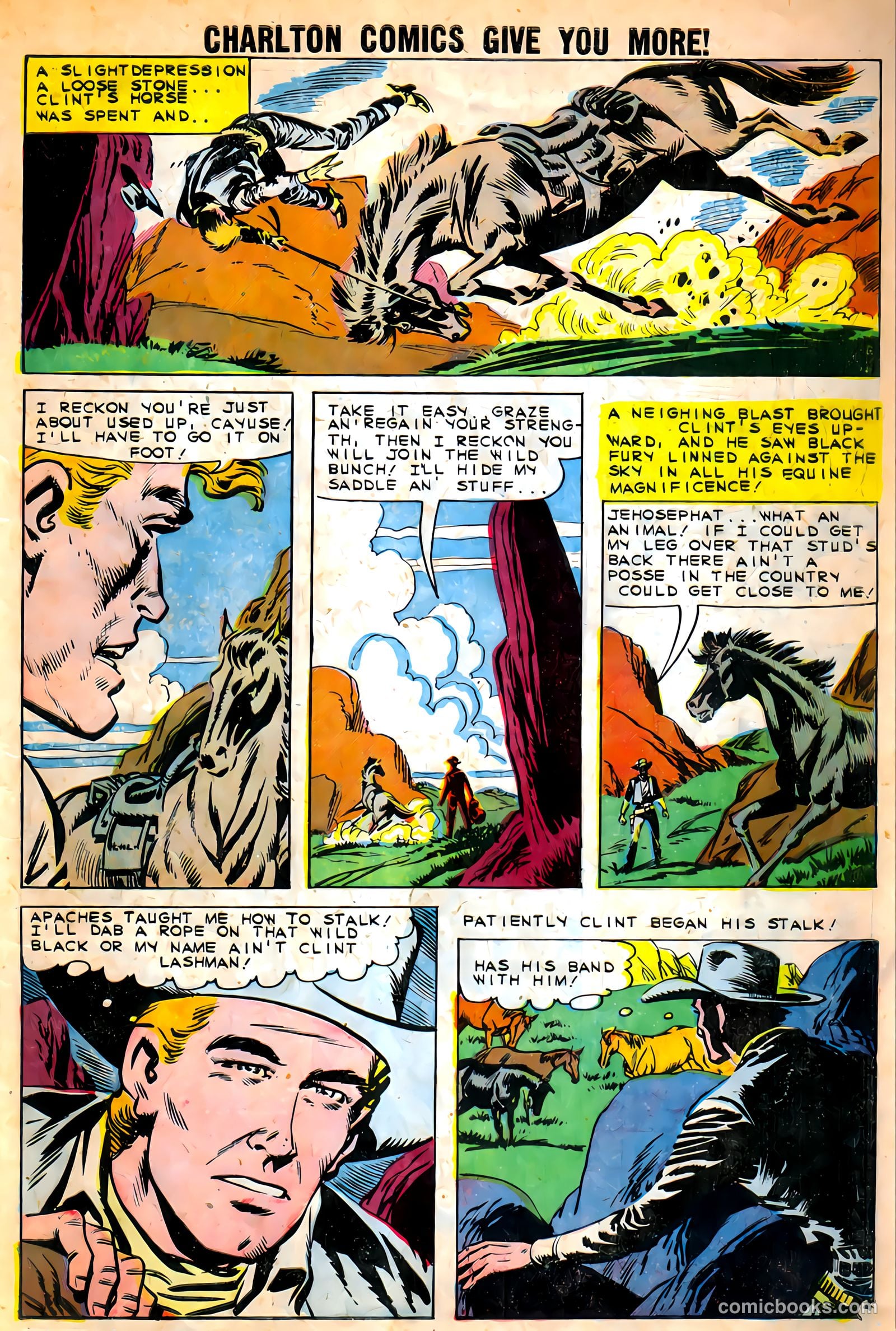 Black Fury #27 (1960) — page 7