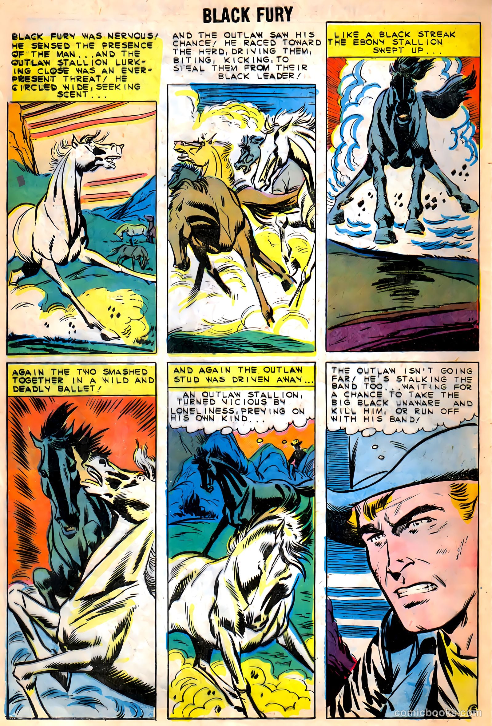 Black Fury #27 (1960) — page 8
