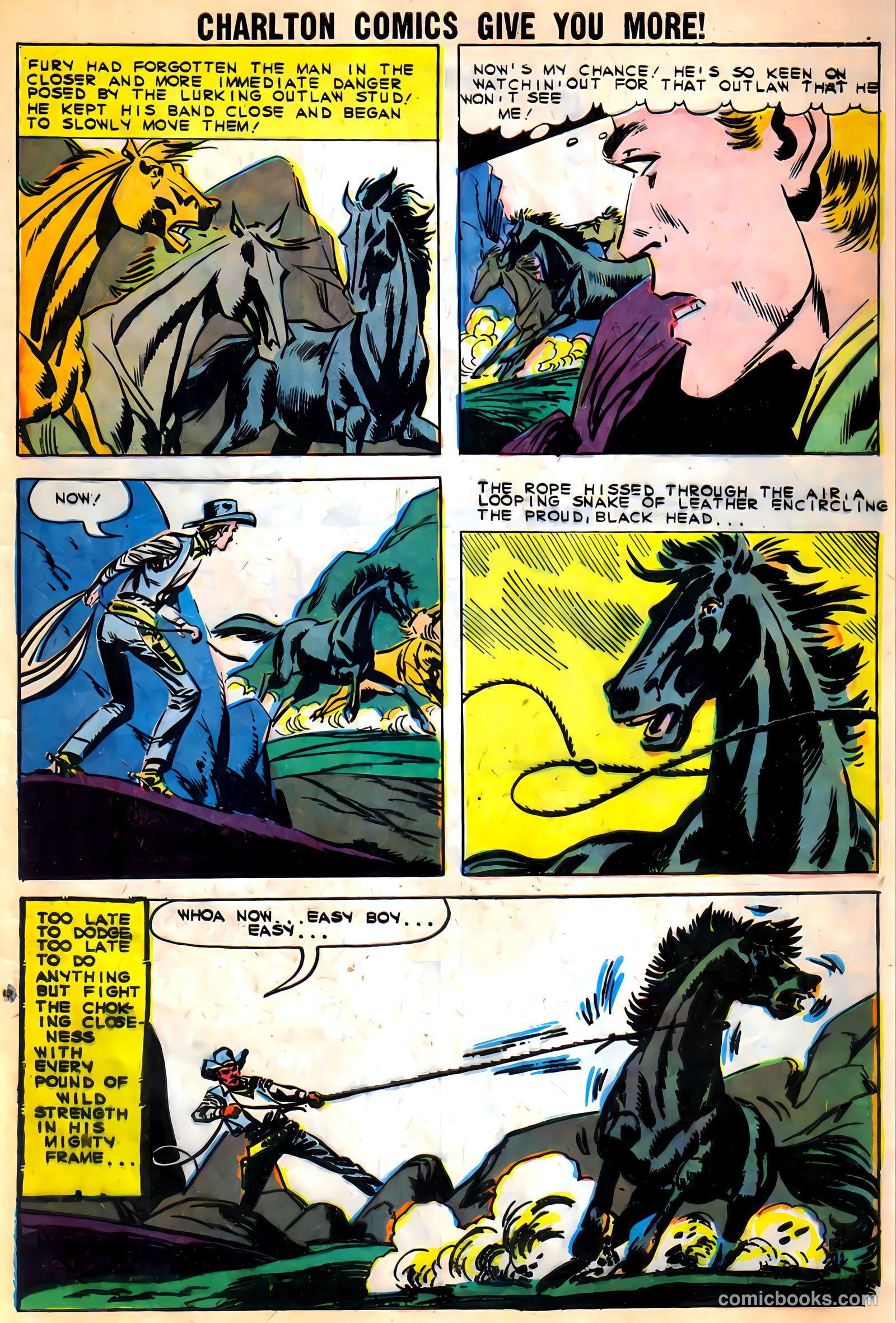 Black Fury #27 (1960) — page 9