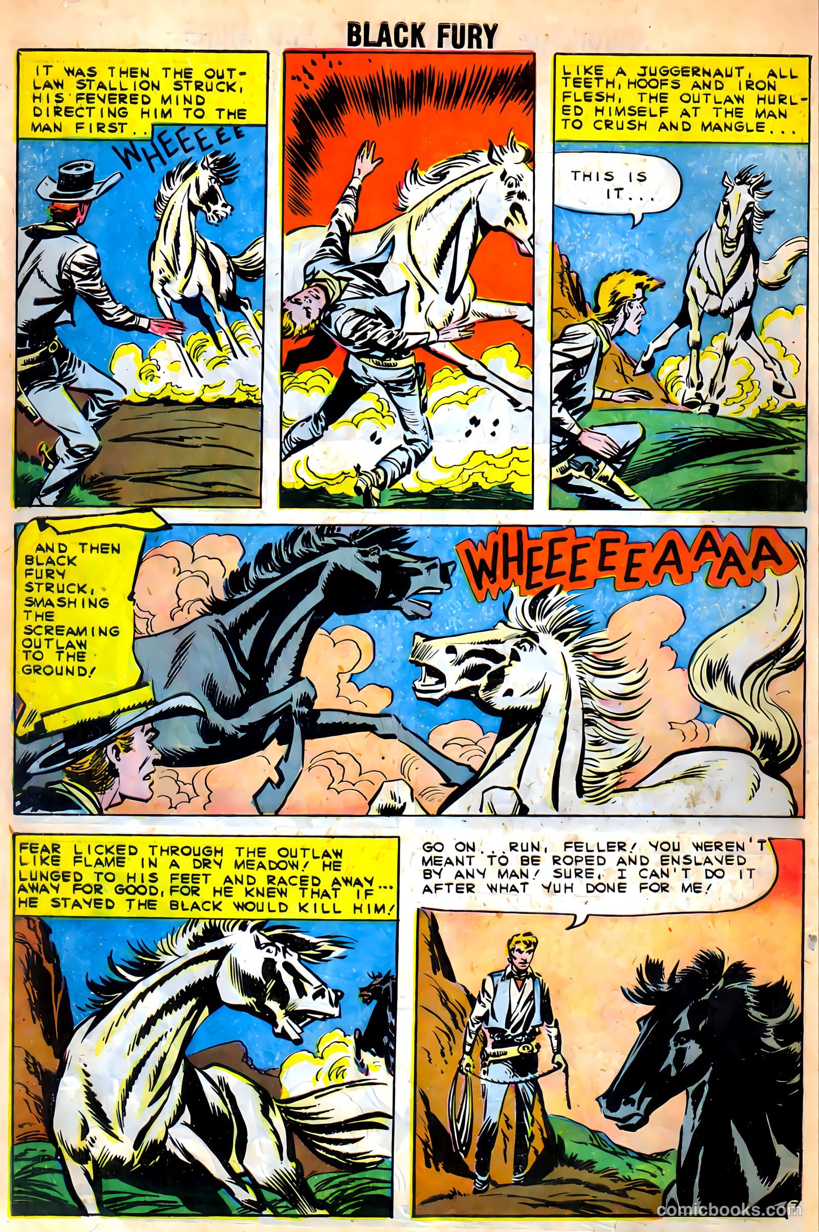 Black Fury #27 (1960) — page 10