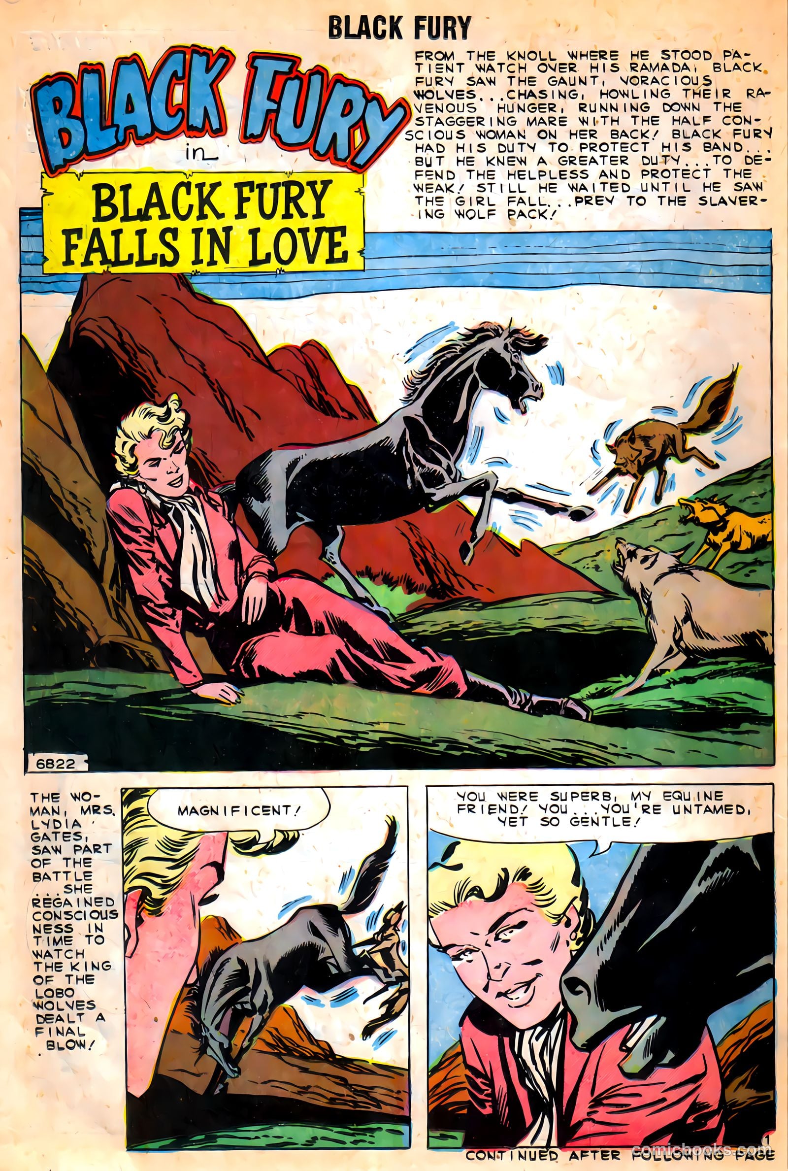 Black Fury #27 (1960) — page 14