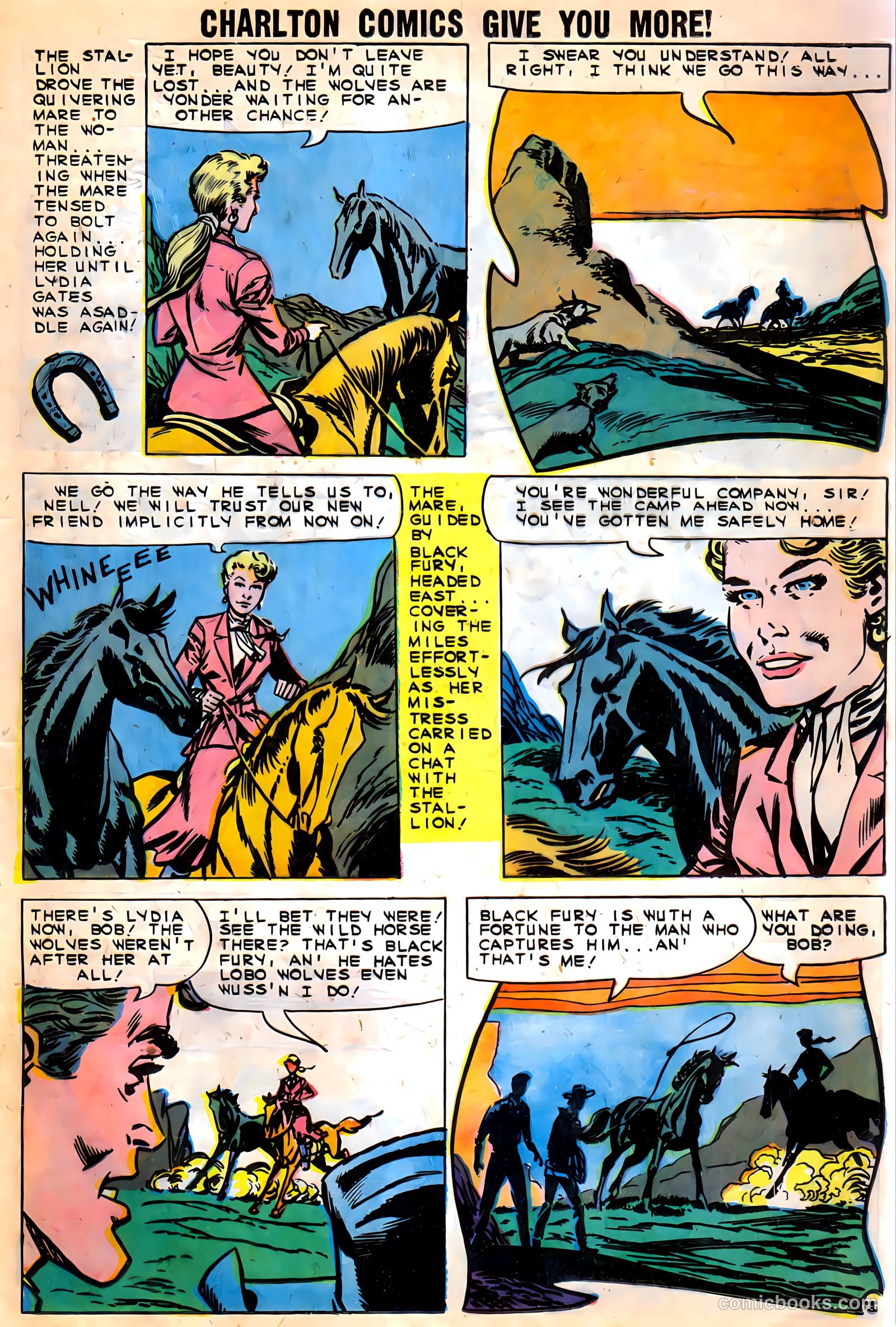 Black Fury #27 (1960) — page 17