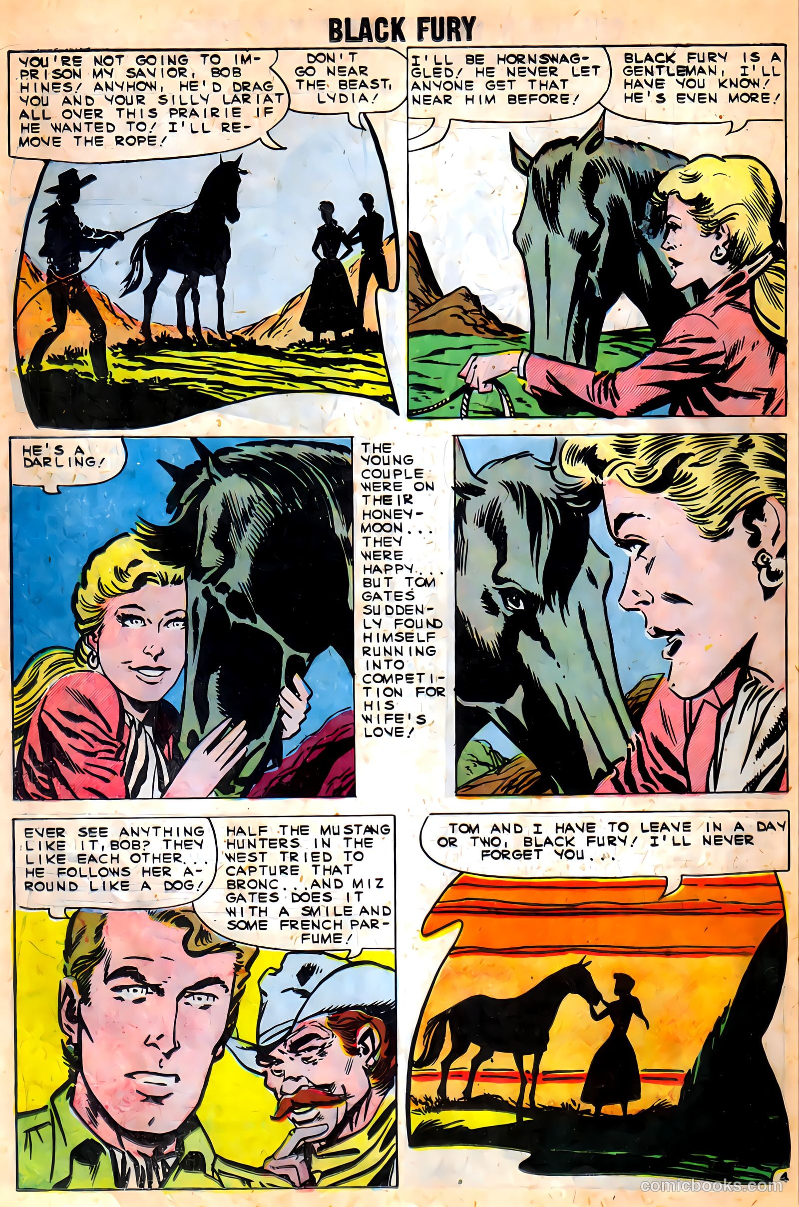 Black Fury #27 (1960) — page 18