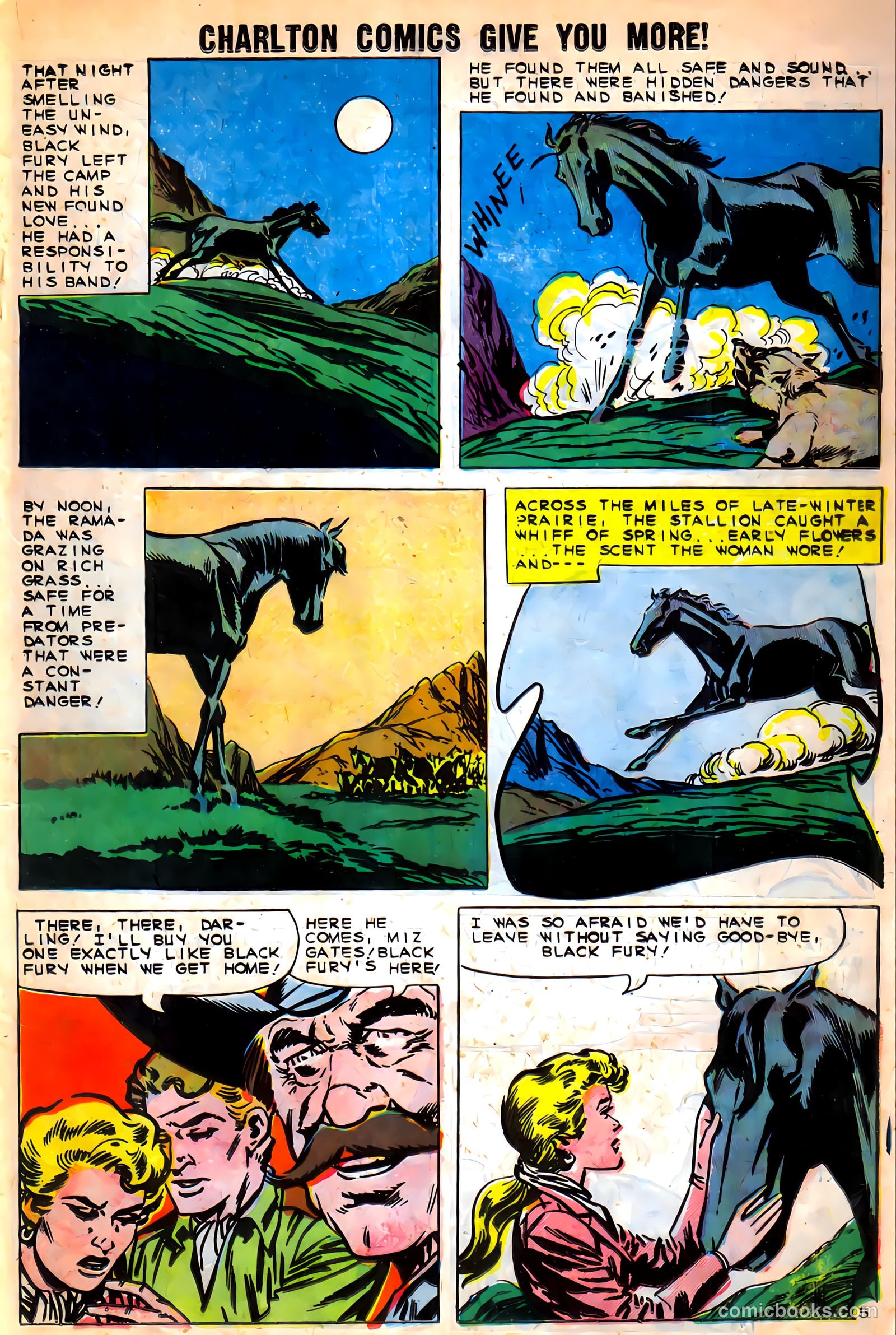 Black Fury #27 (1960) — page 19