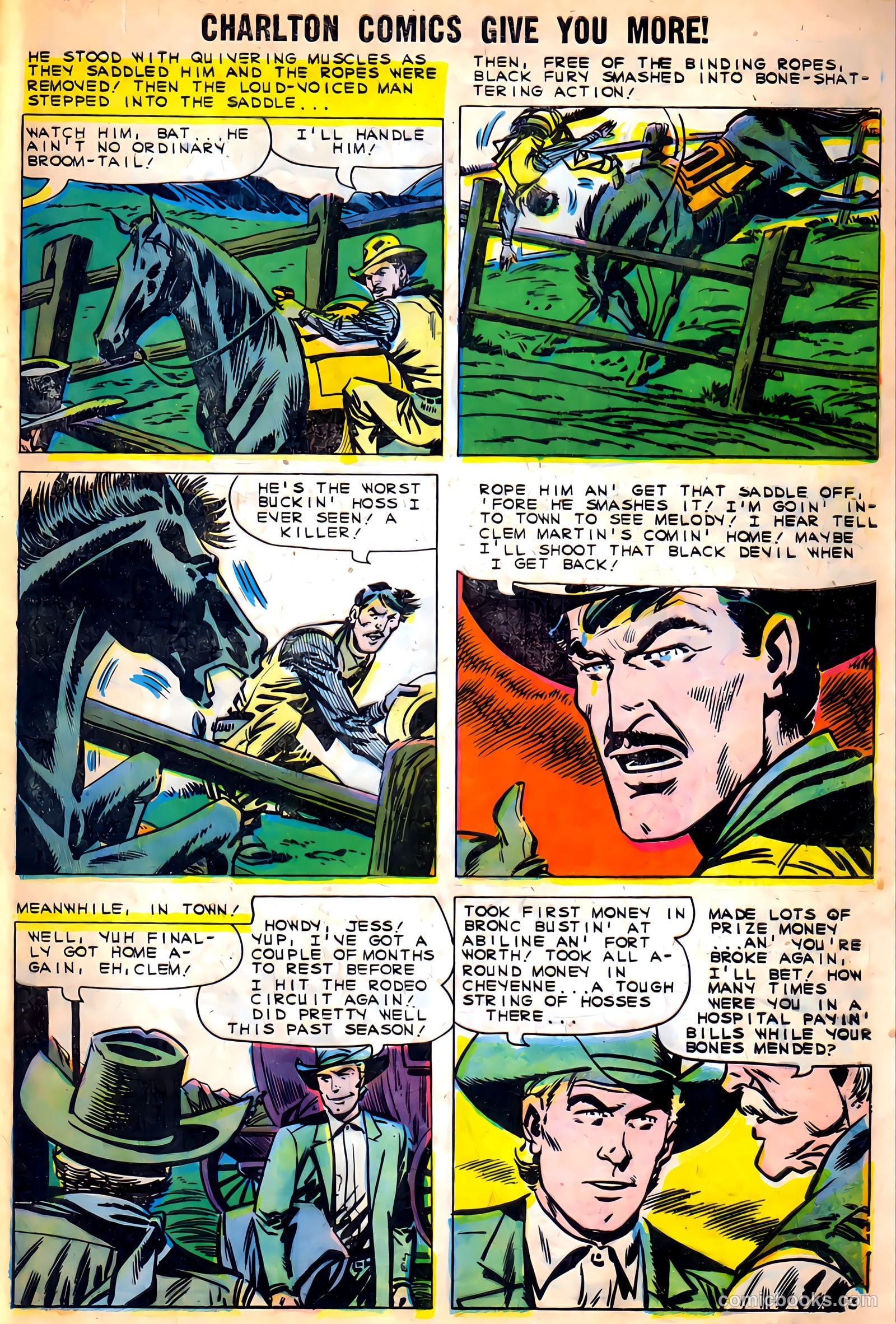 Black Fury #27 (1960) — page 29