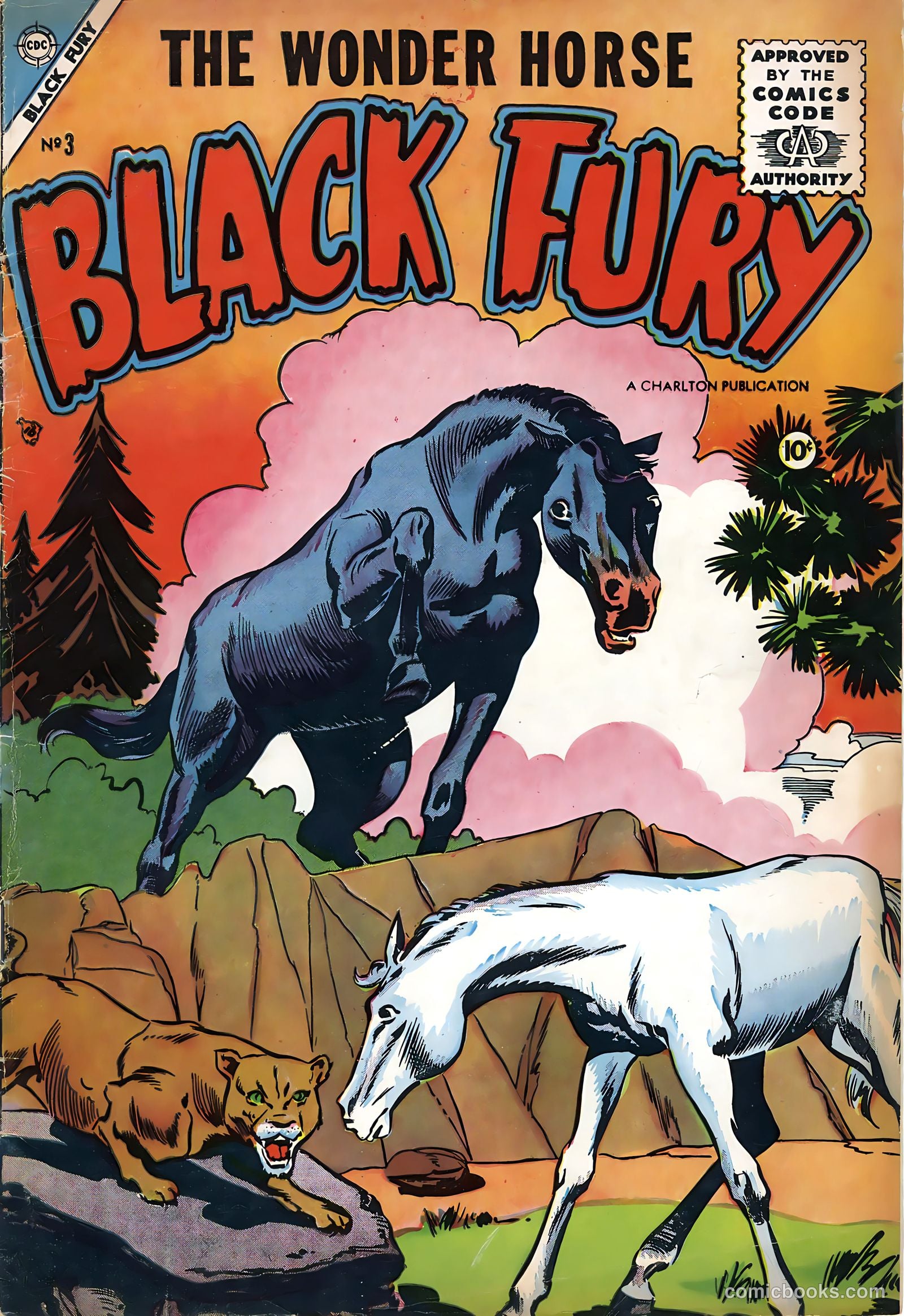 Black Fury #3 cover
