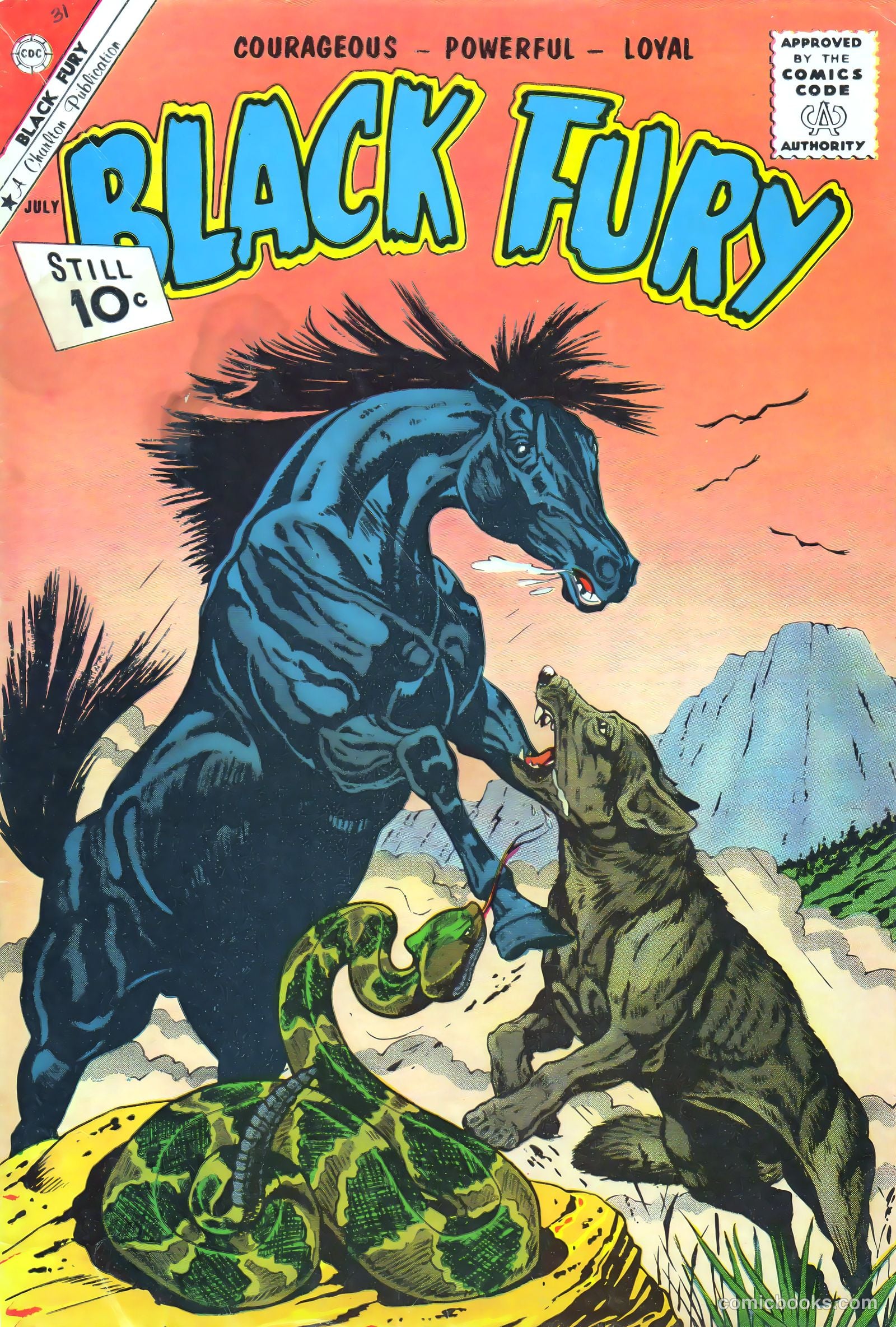 Black Fury #31 cover