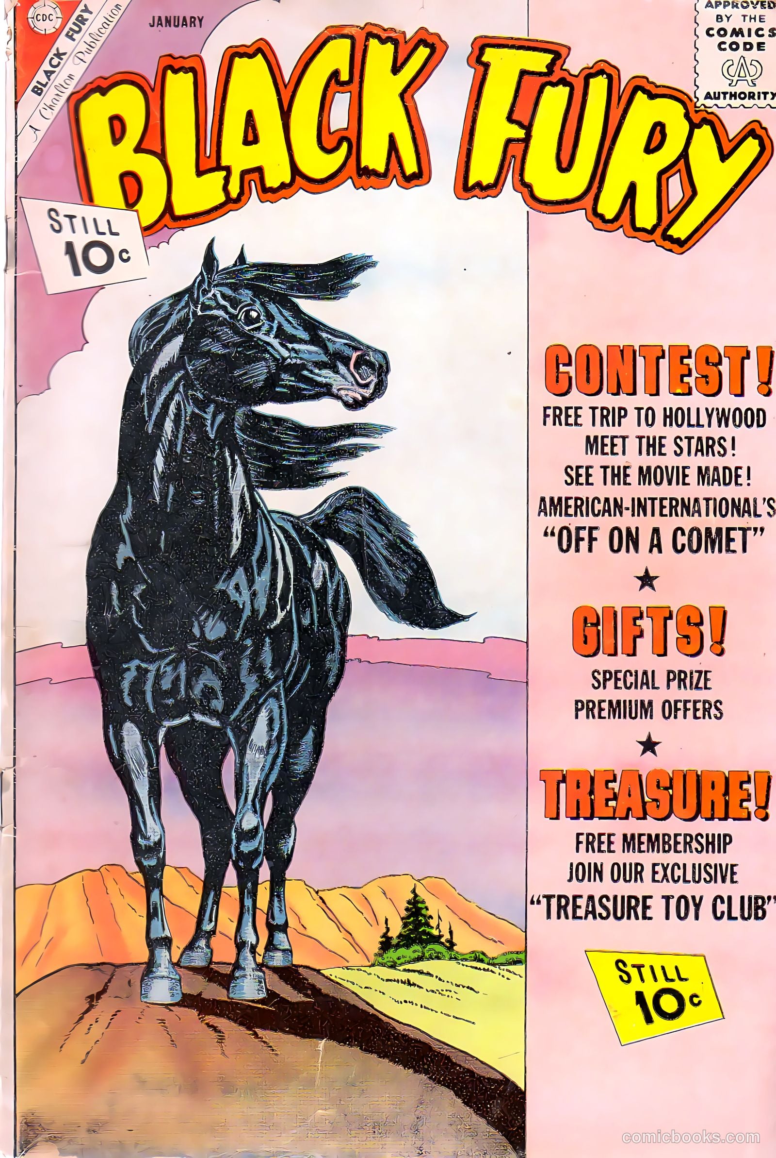 Black Fury #34 cover