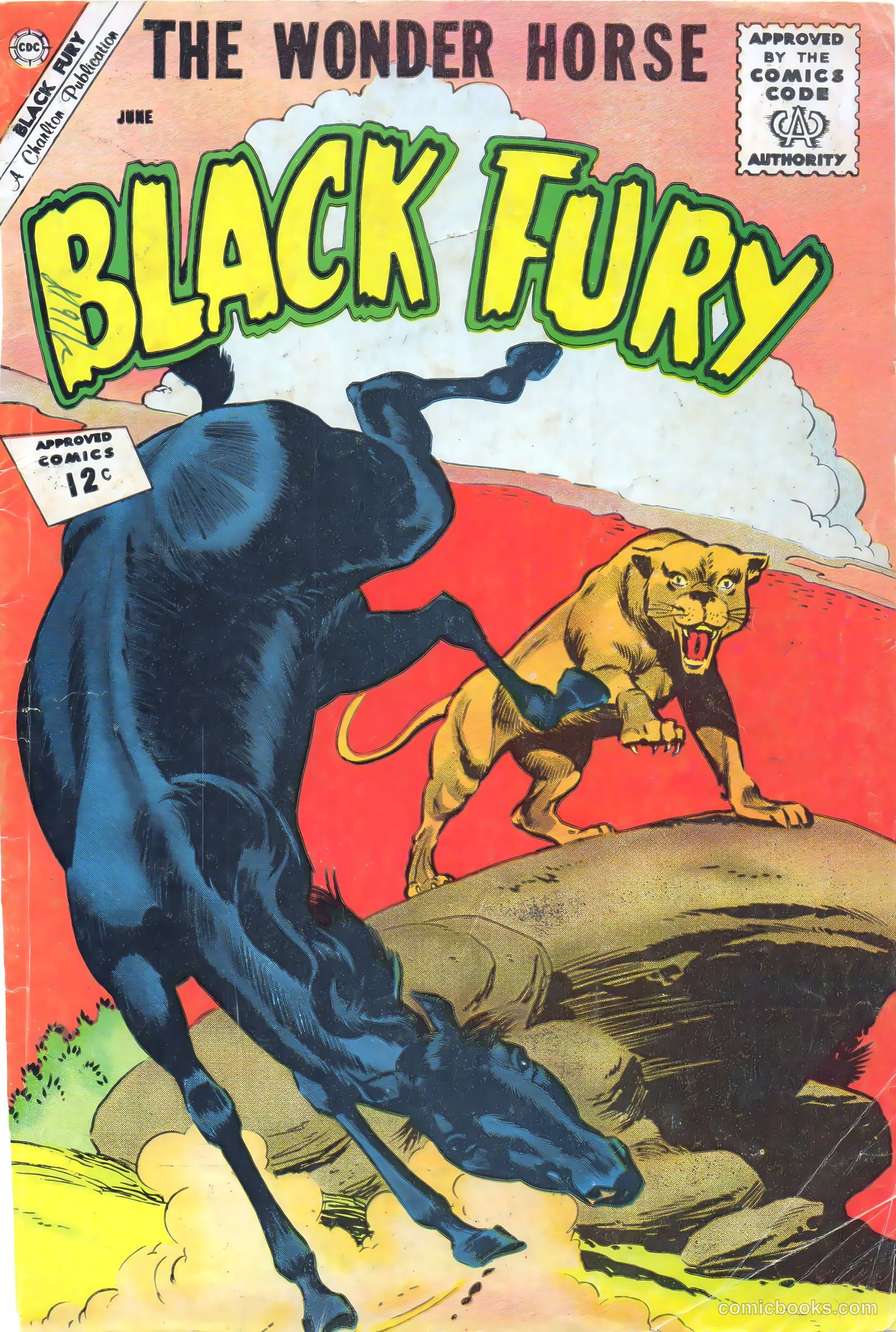 Black Fury #36 cover