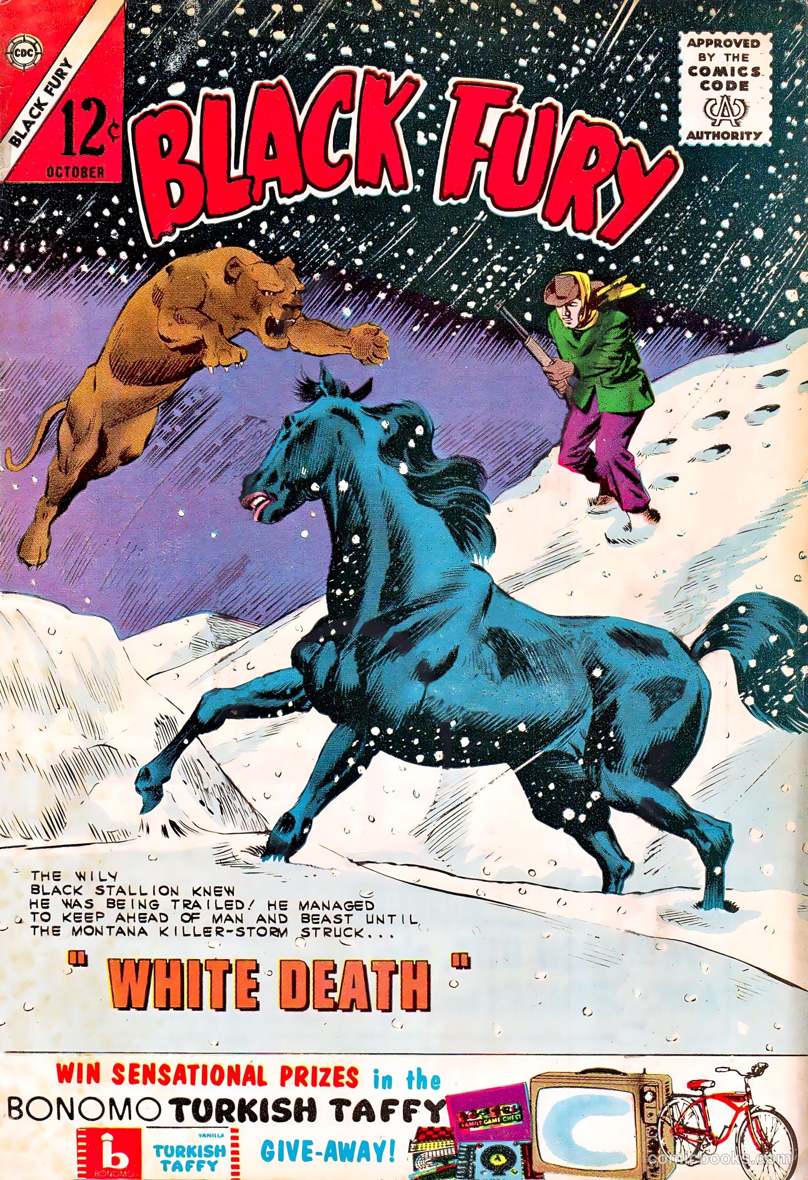 Black Fury #44 cover