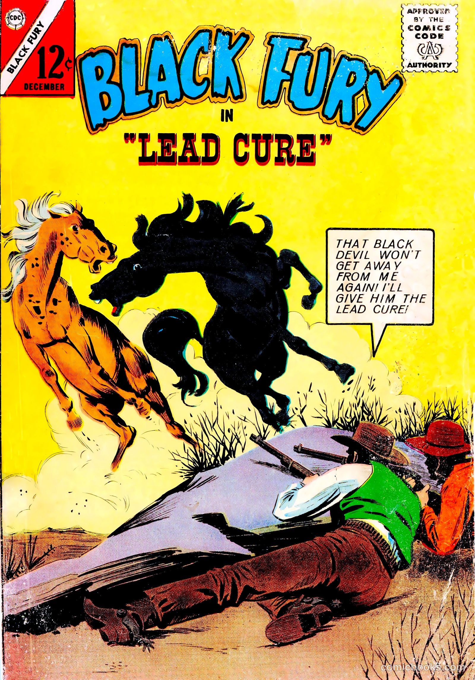 Black Fury #45 cover