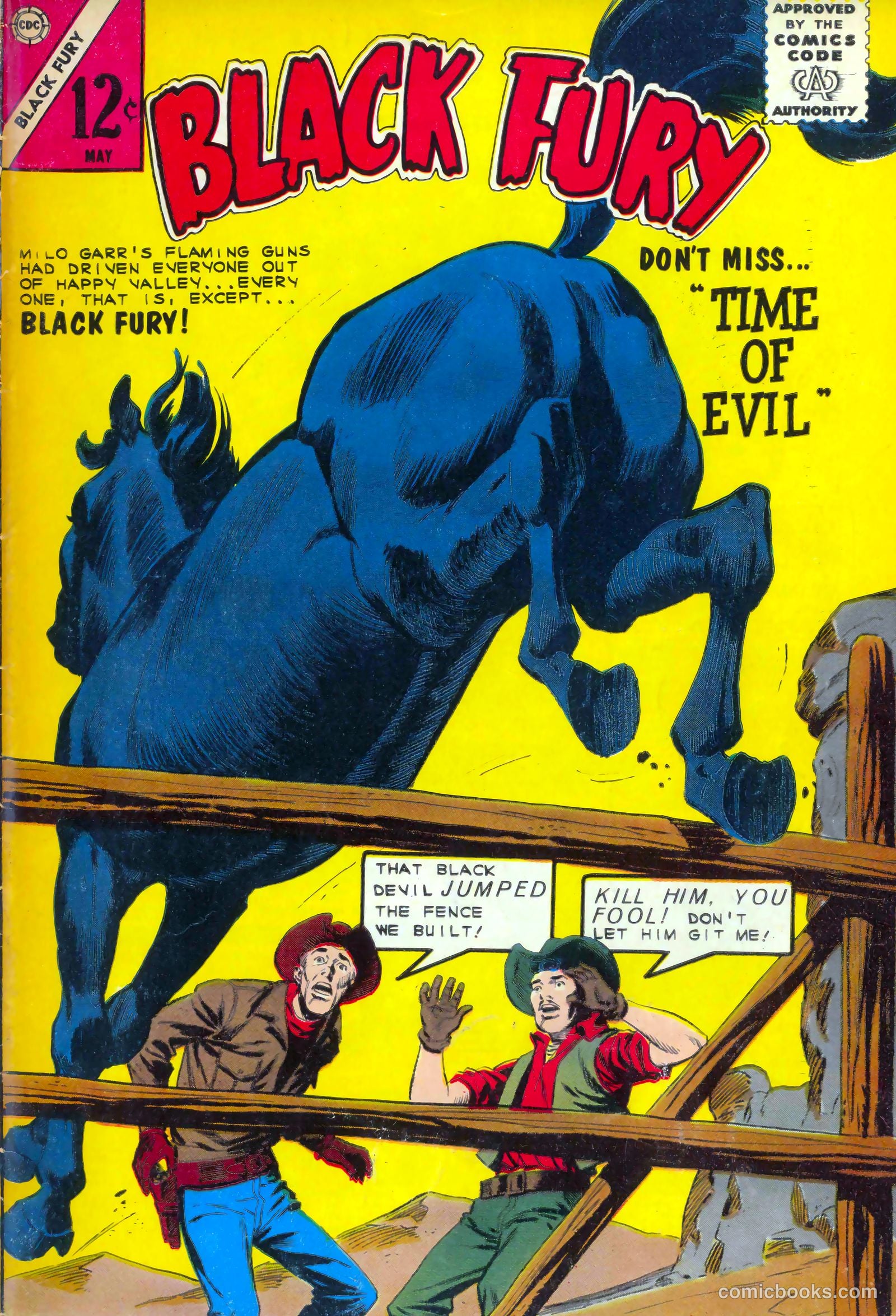 Black Fury #47 cover