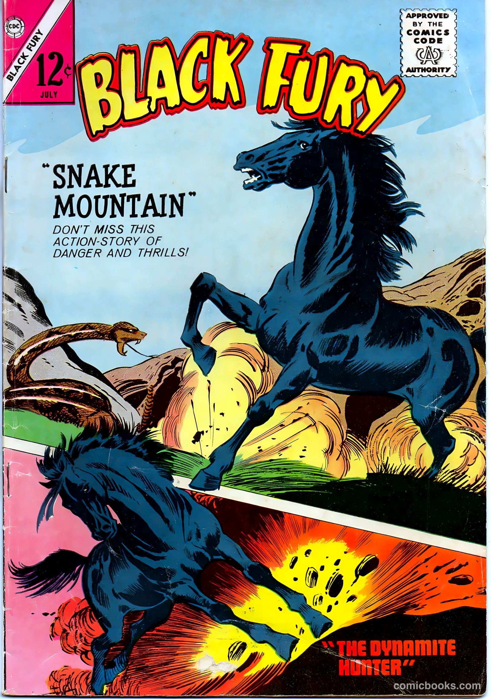 Black Fury #48 cover