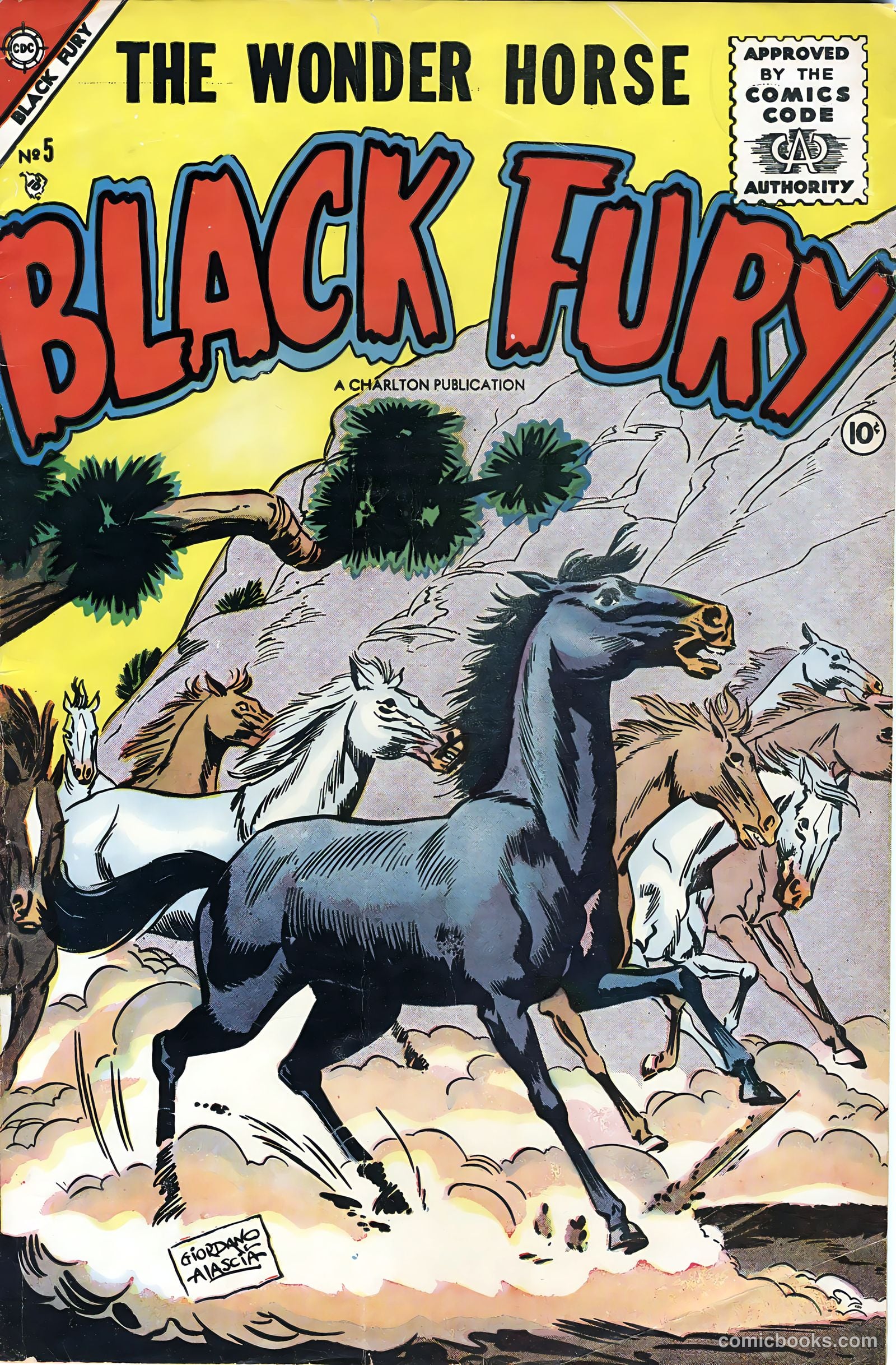 Black Fury #5 cover