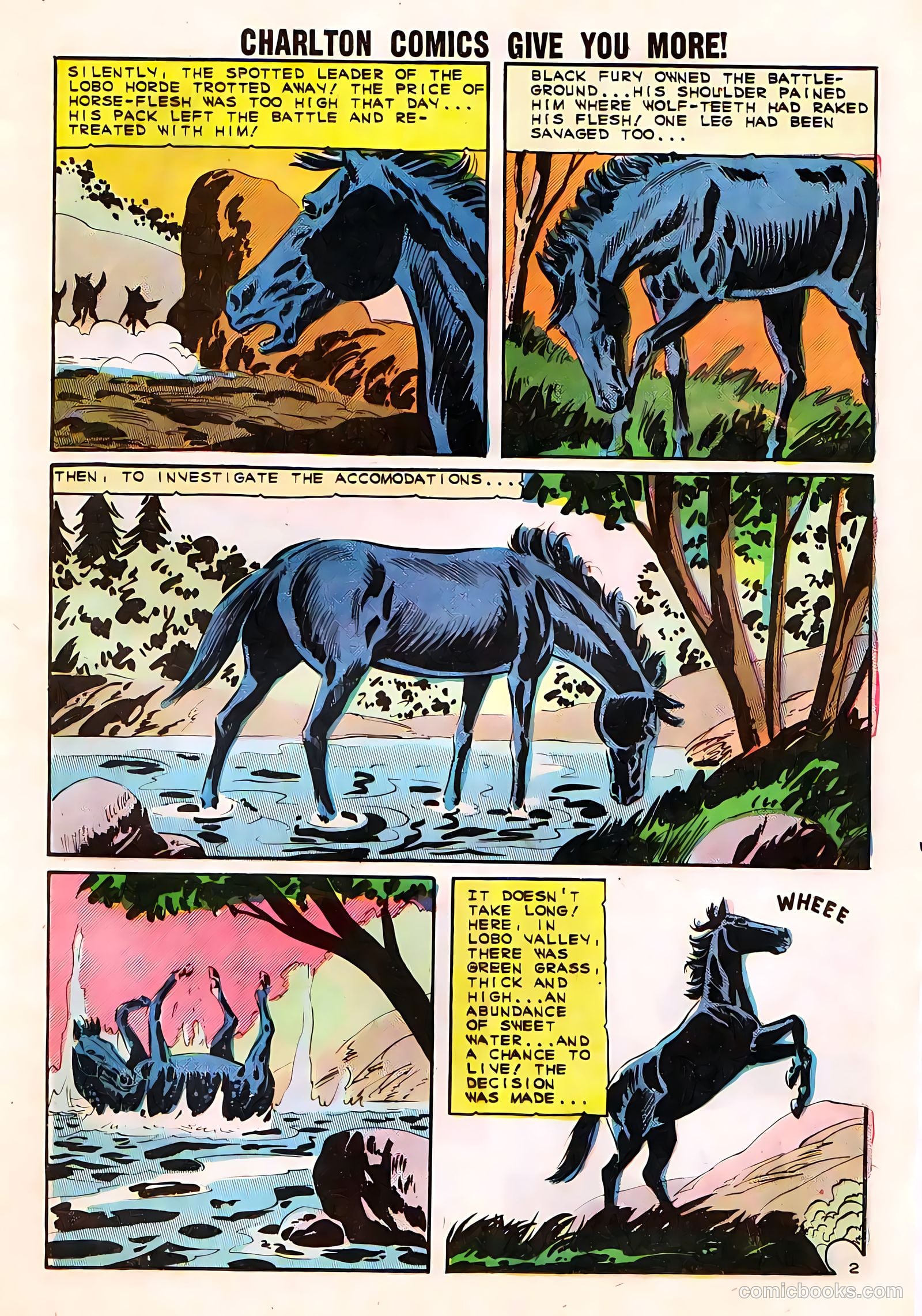 Black Fury #50 (1961) — page 13