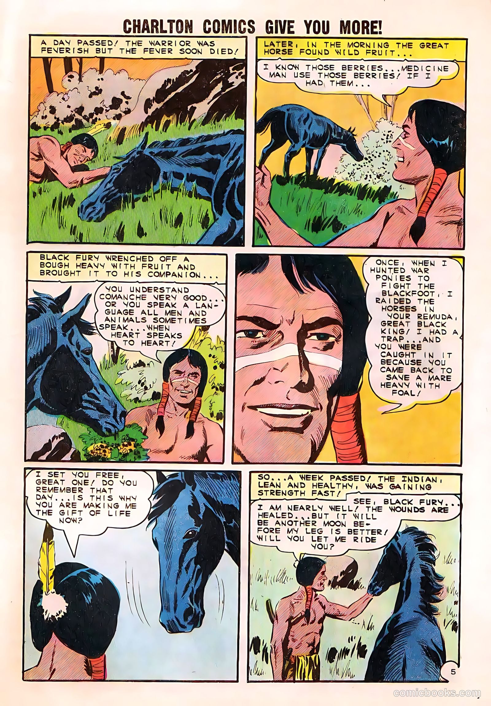 Black Fury #50 (1961) — page 29