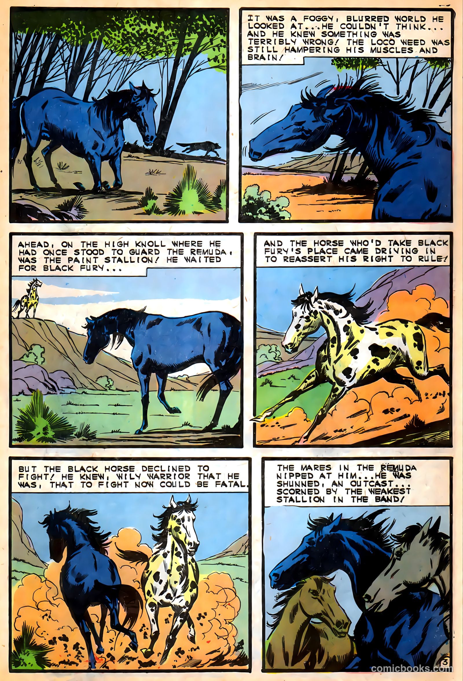 Black Fury #57 (1966) — page 27
