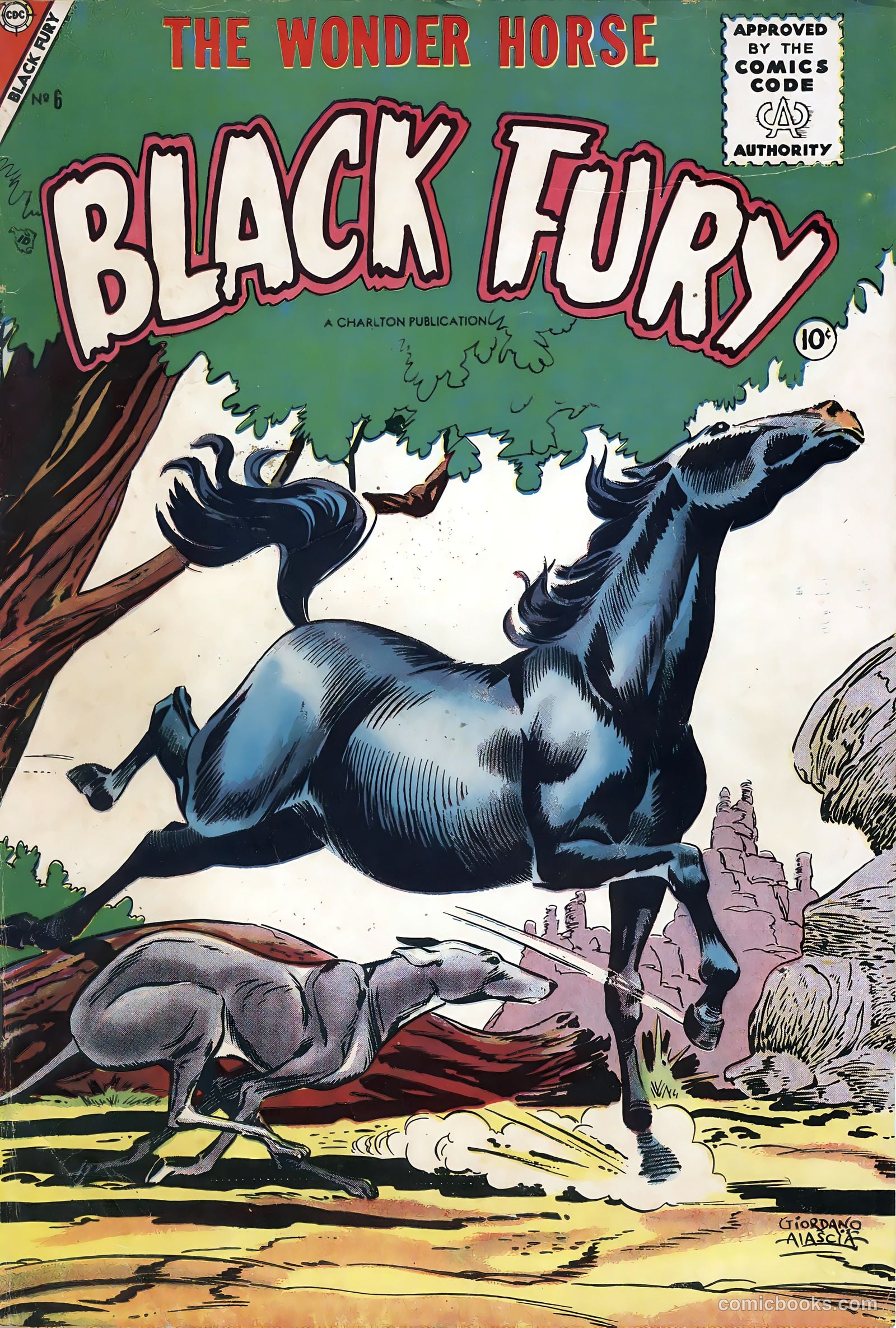 Black Fury #6 cover
