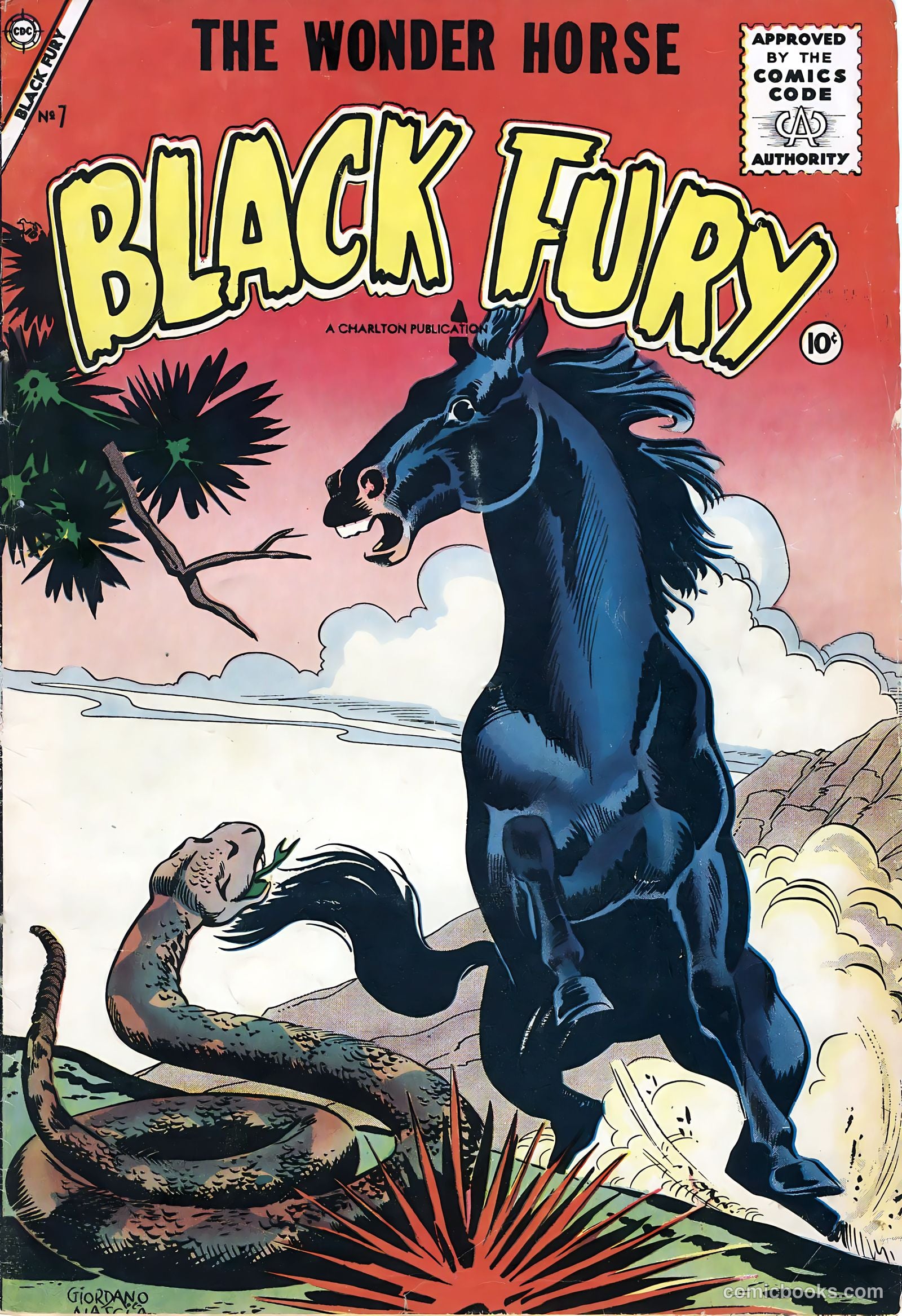 Black Fury #7 cover