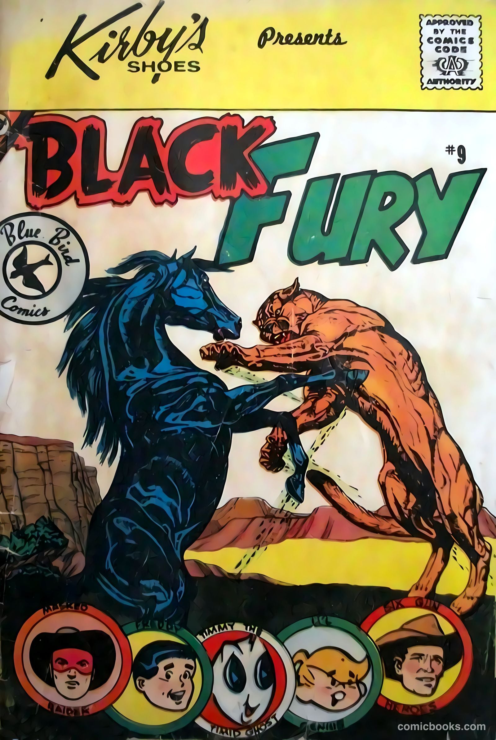 Black Fury #9 cover