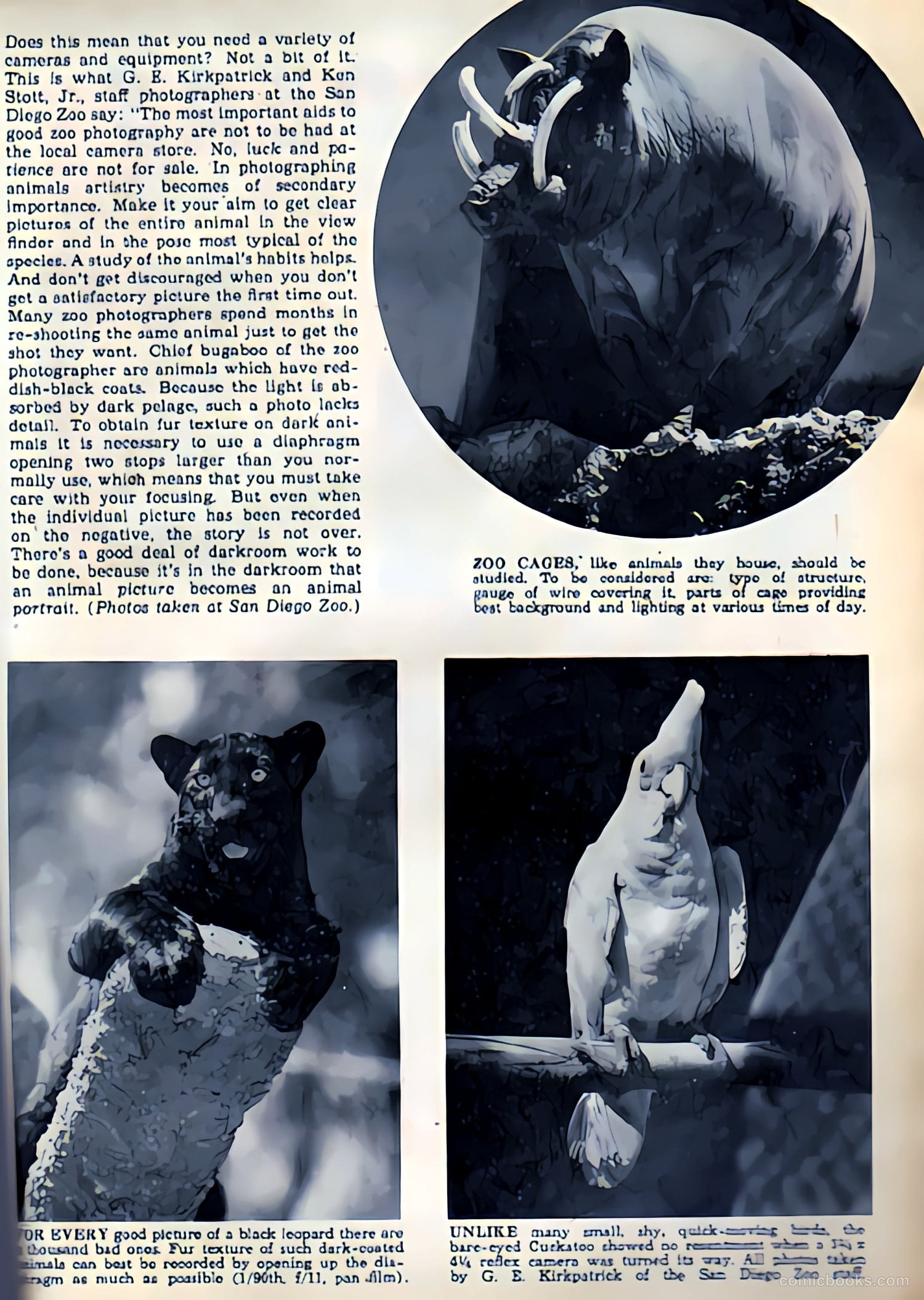 Camera Comics #9 (1944) — page 33