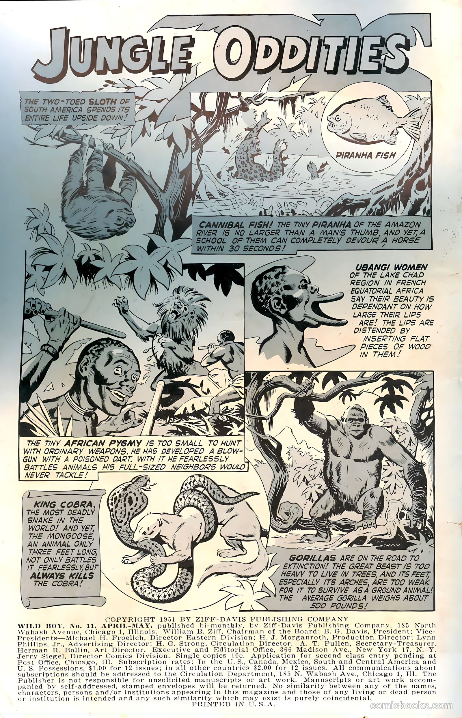 Wild Boy #2 (1951) — page 2