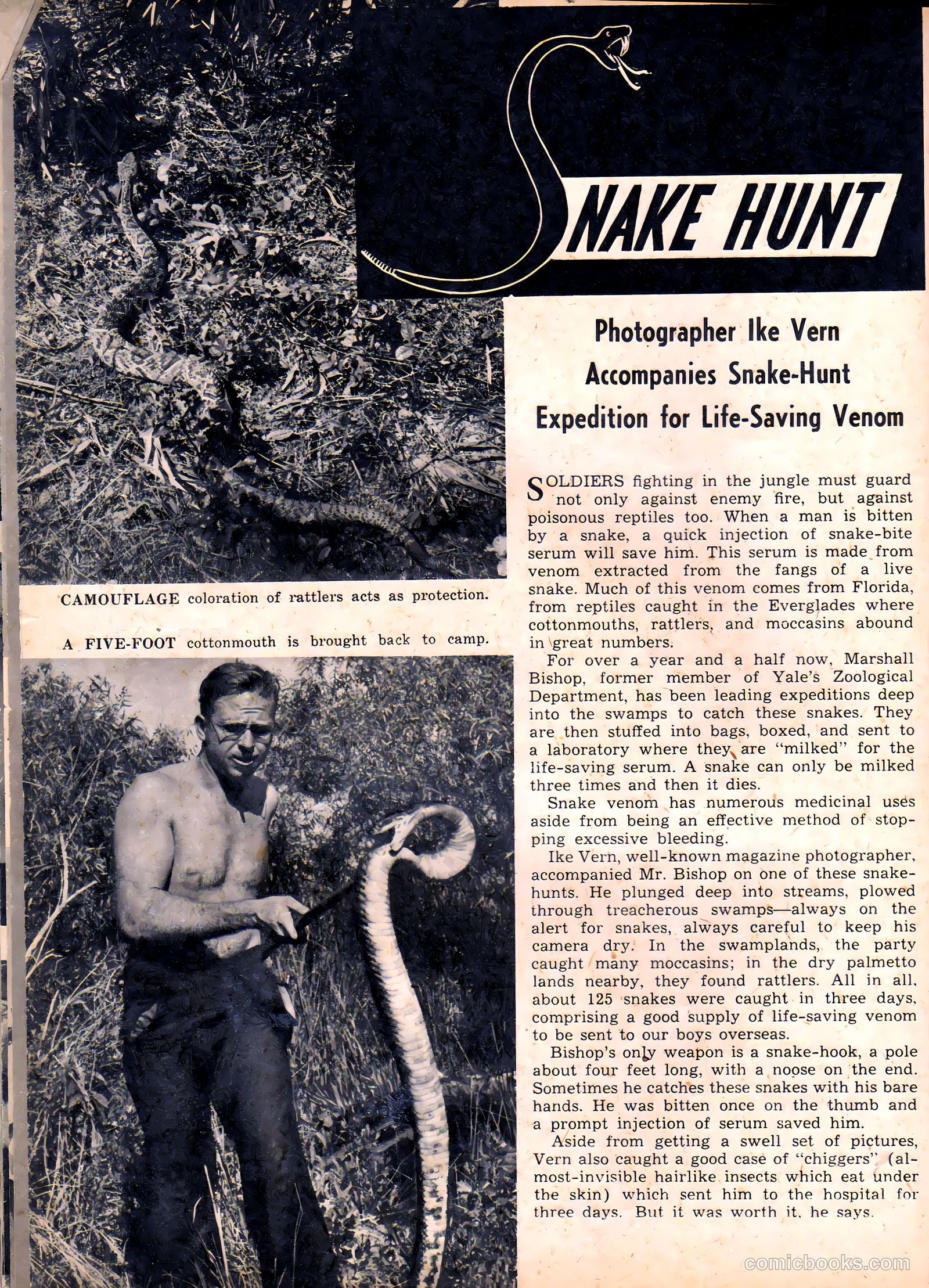 Camera Comics #3 (1944) — page 32